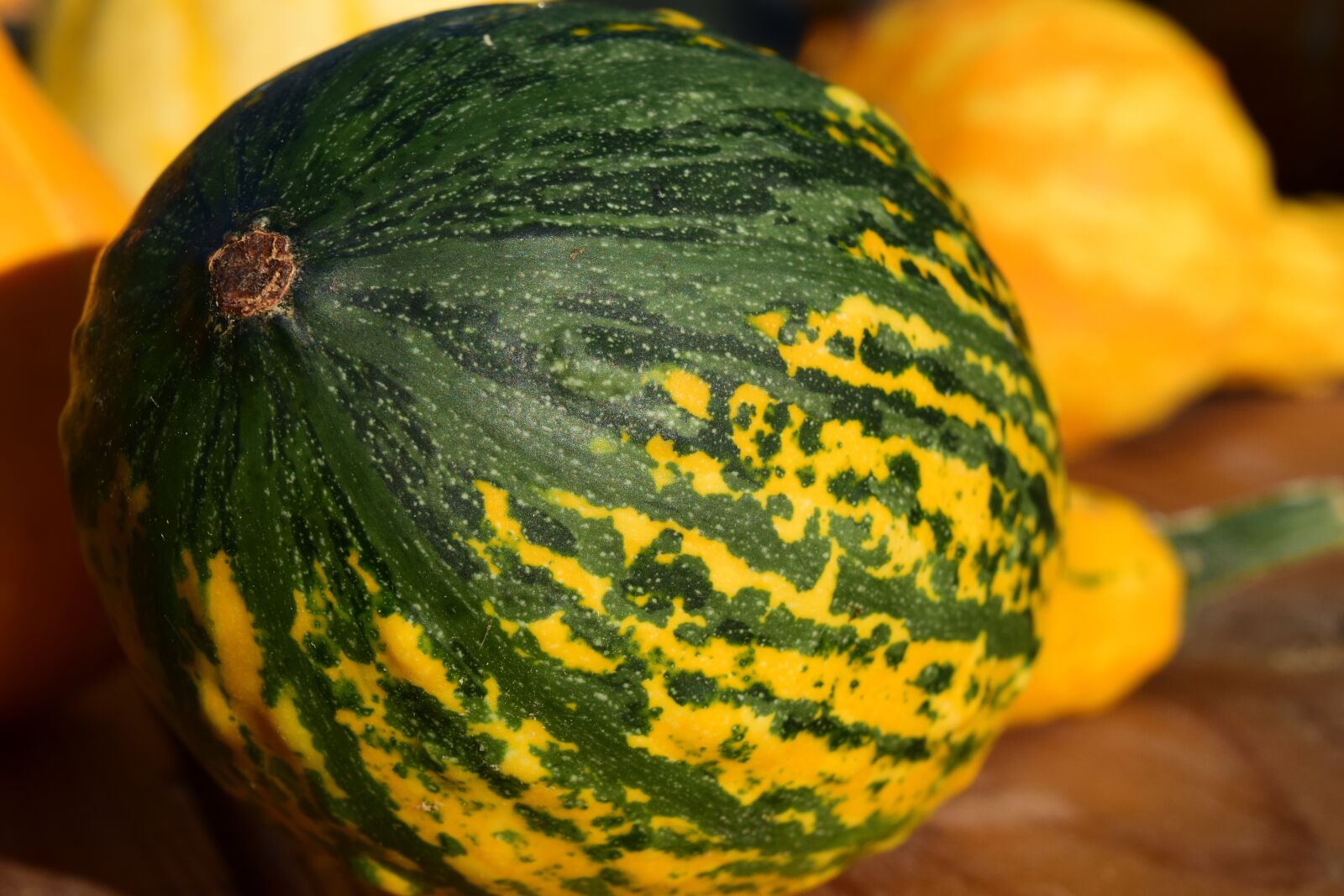 Nikon D3300 sample photo. Decorative squashes, pumpkins, yellow photography