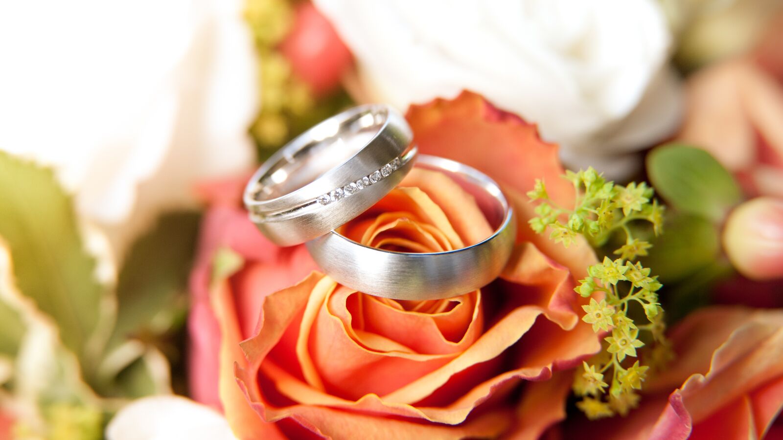 Nikon D700 sample photo. Rings, rose bloom, bride photography