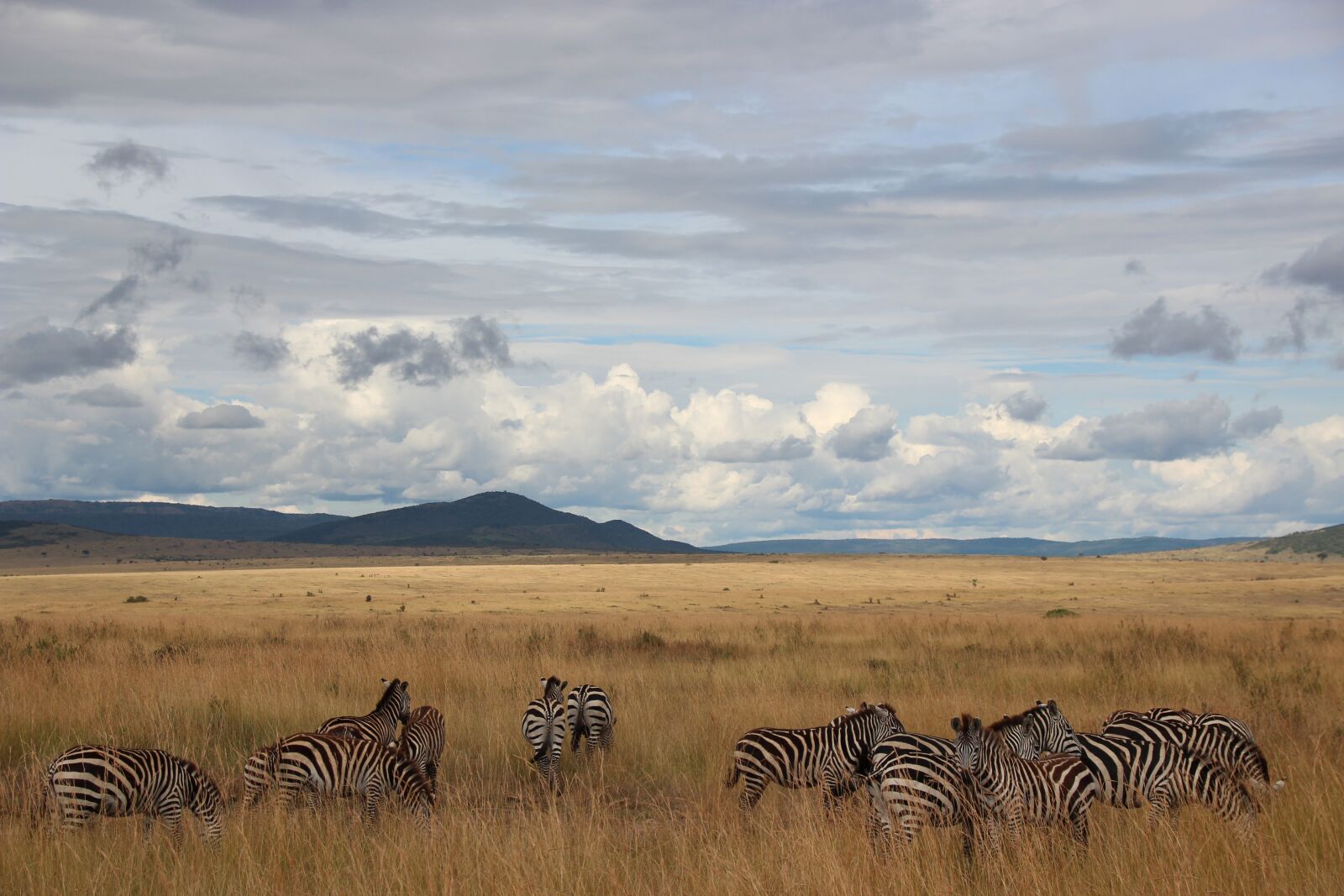 Canon EOS 600D (Rebel EOS T3i / EOS Kiss X5) sample photo. Landscape, kenya, africa photography