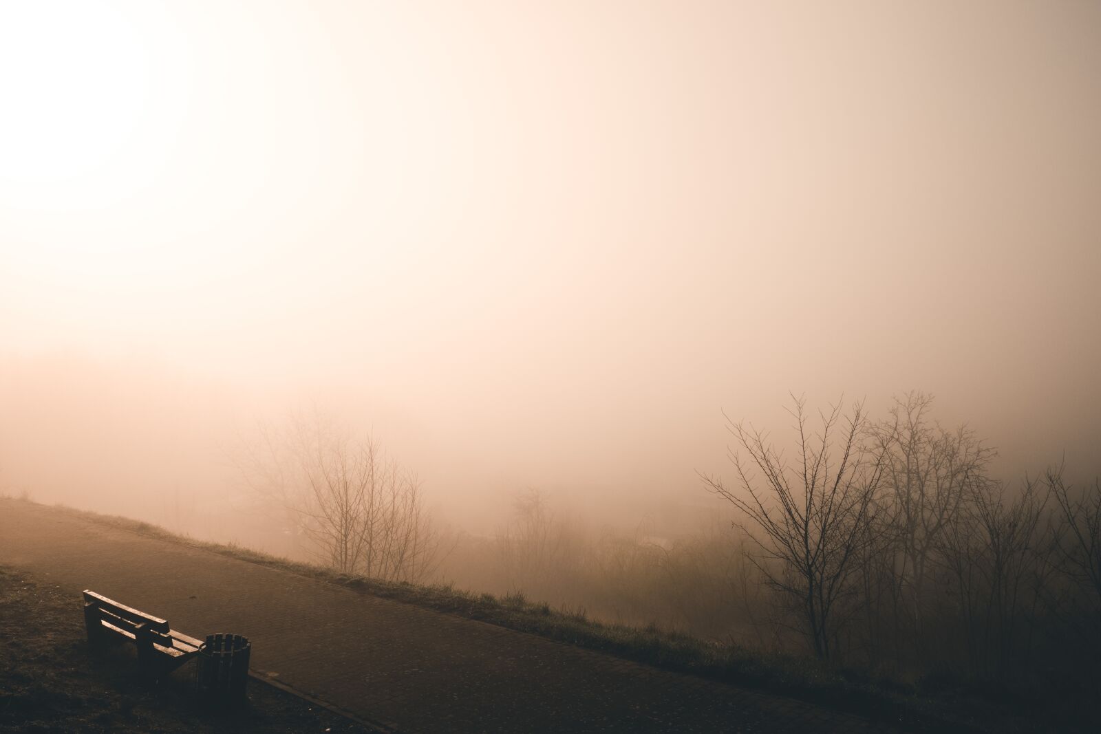 Fujifilm X-T2 sample photo. Fog, landscape, sun photography