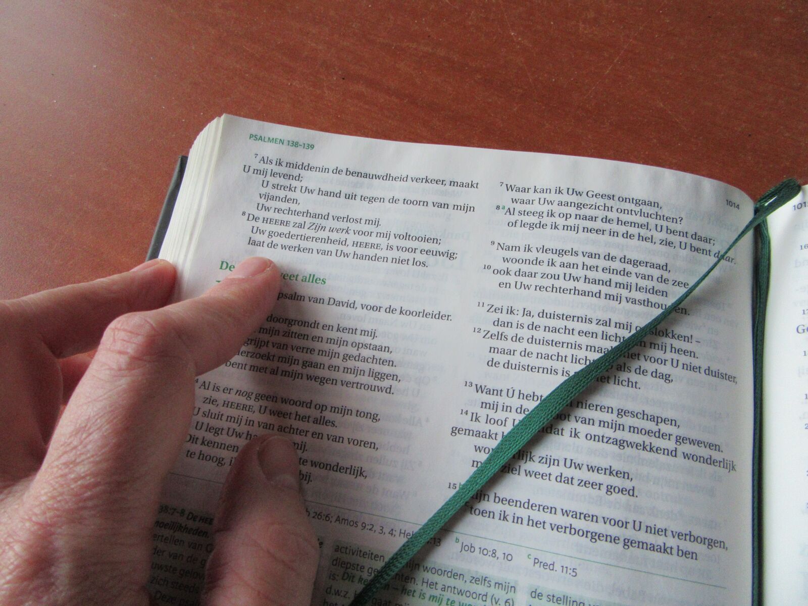 Canon PowerShot SX610 HS sample photo. Bible, read, book photography