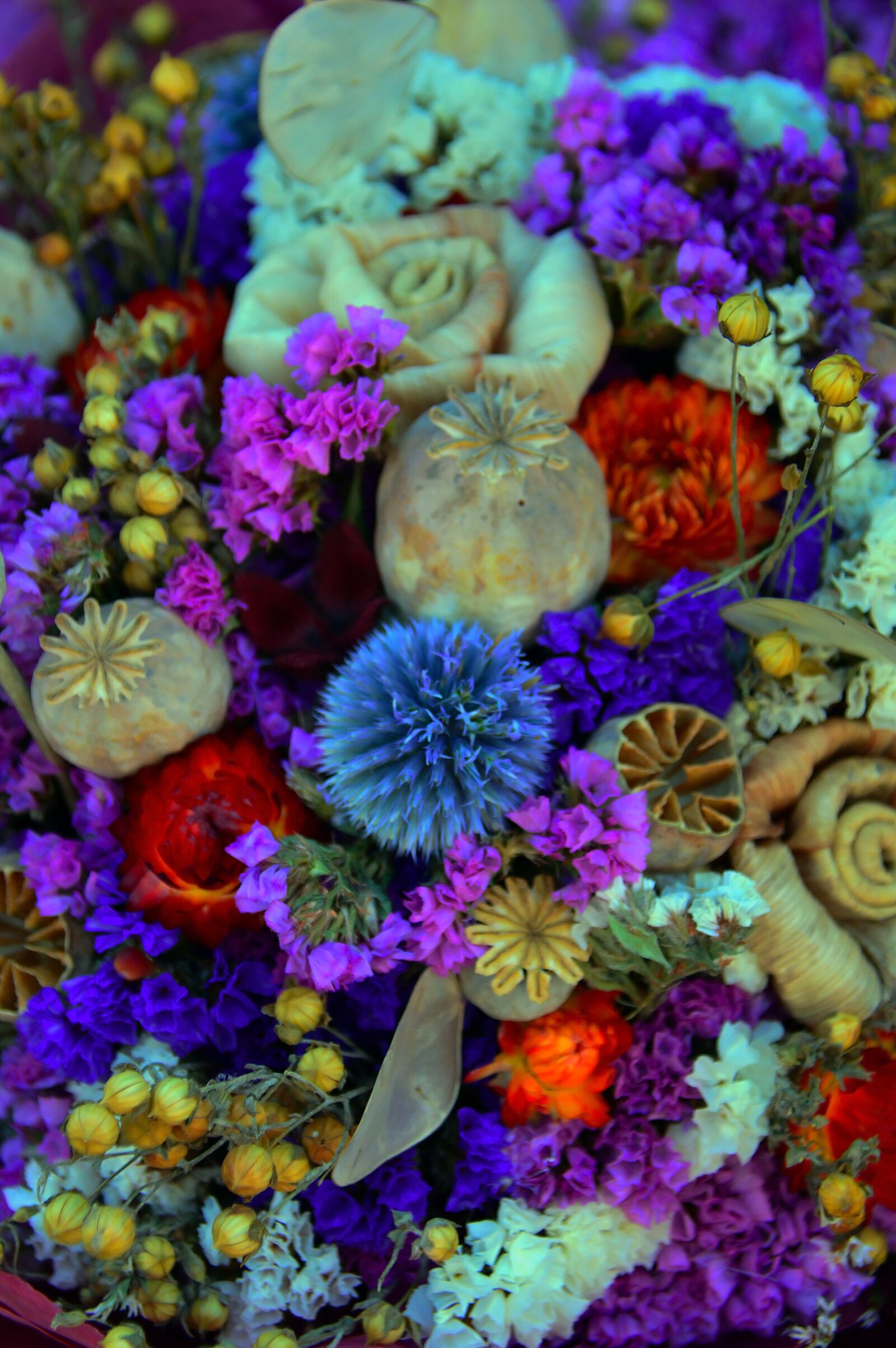 Nikon D3200 sample photo. Dried flower, color, wreath photography