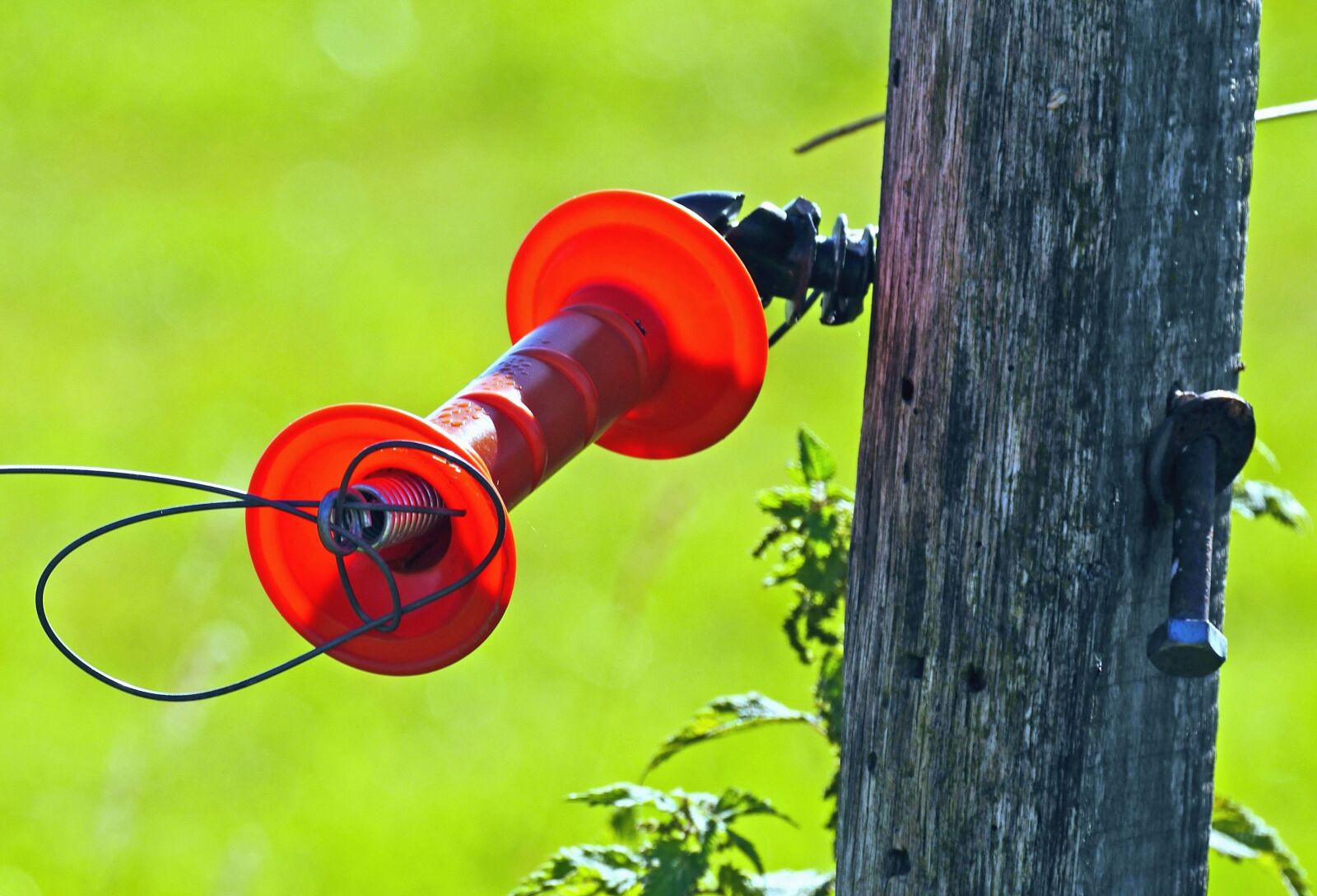 Panasonic Lumix DMC-GH3 sample photo. Plastic, wire, pillar, plant photography