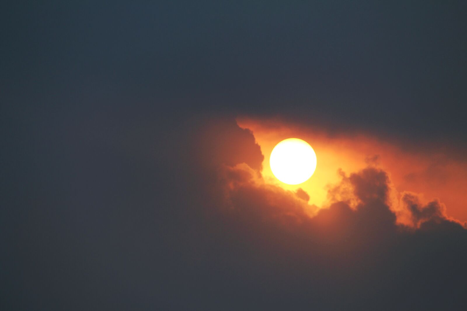 Canon EOS 700D (EOS Rebel T5i / EOS Kiss X7i) sample photo. Beautiful, evening, golden photography