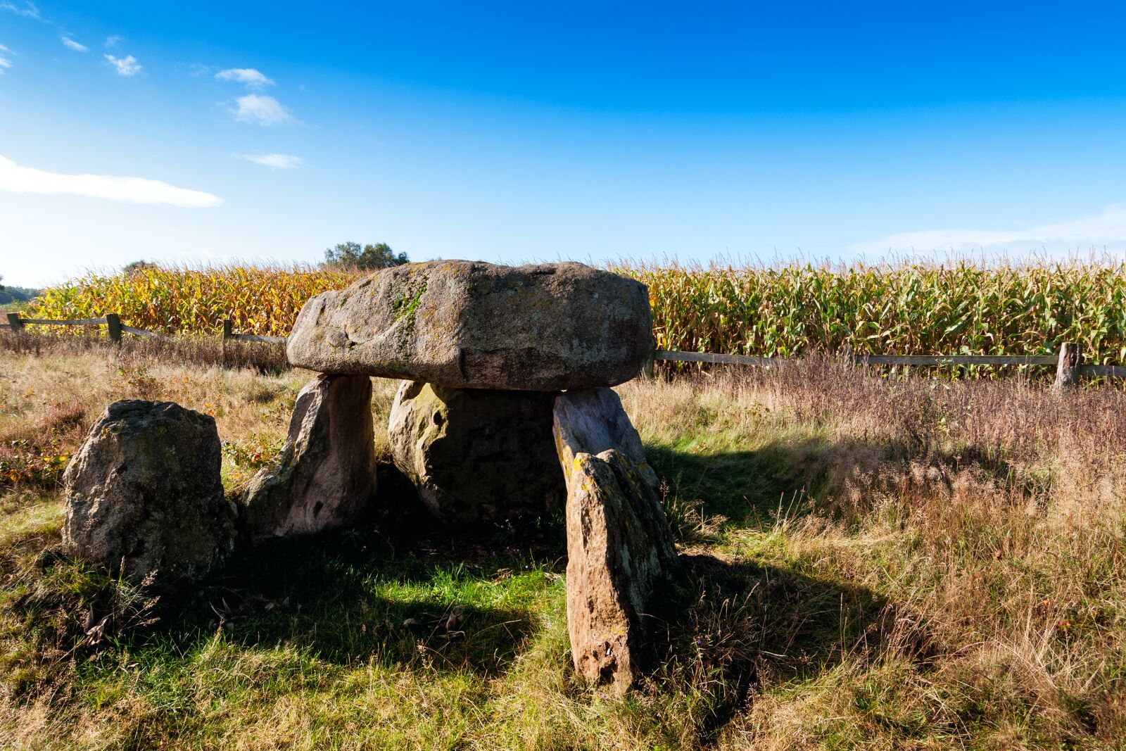 Nikon D90 sample photo. Large stone grave, badenstedt photography