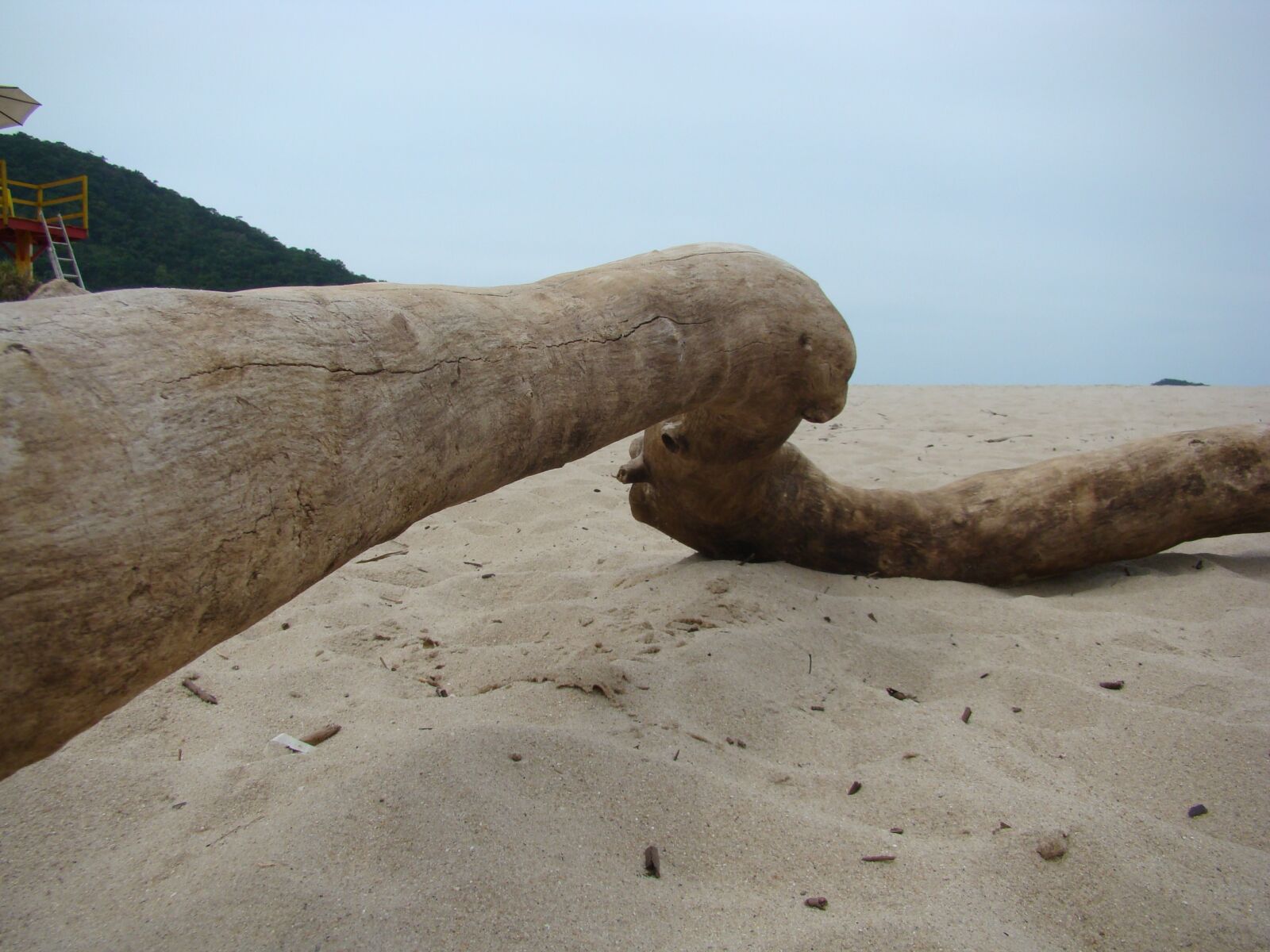 Sony DSC-H7 sample photo. Trunk, sand, mar photography