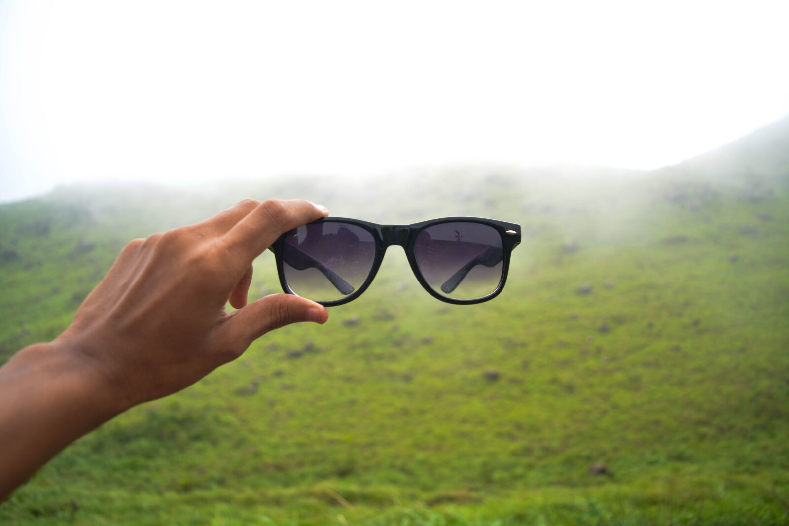 Nikon D5200 sample photo. Green, mist, moody, shades photography