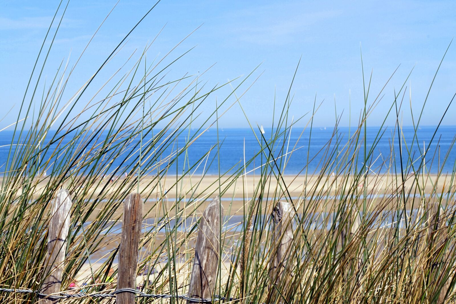 Sony Alpha a5000 (ILCE 5000) + Sony E 55-210mm F4.5-6.3 OSS sample photo. North sea, nature, summer photography