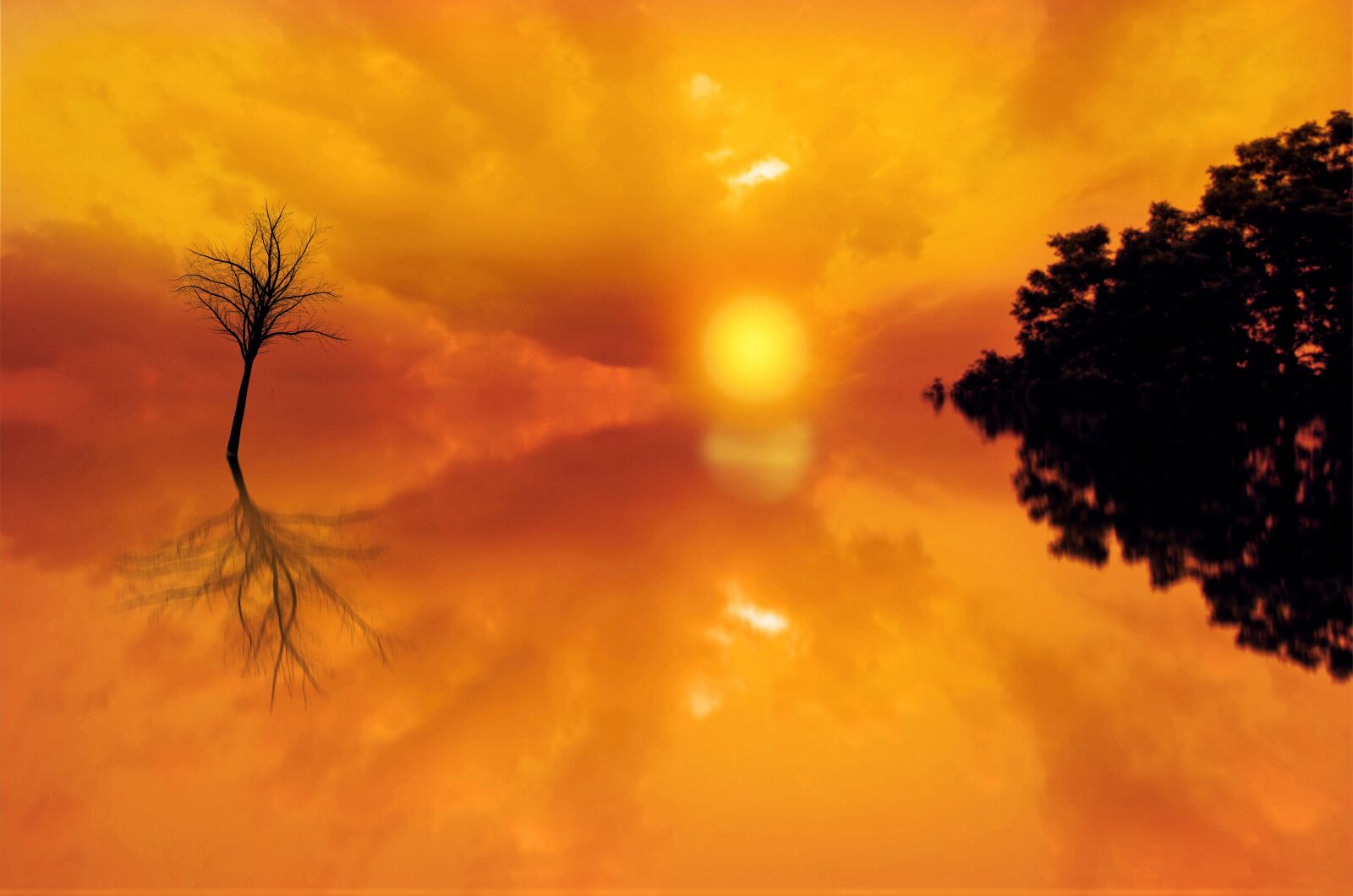 Nikon D5100 sample photo. Sunset, sunrise, morning photography