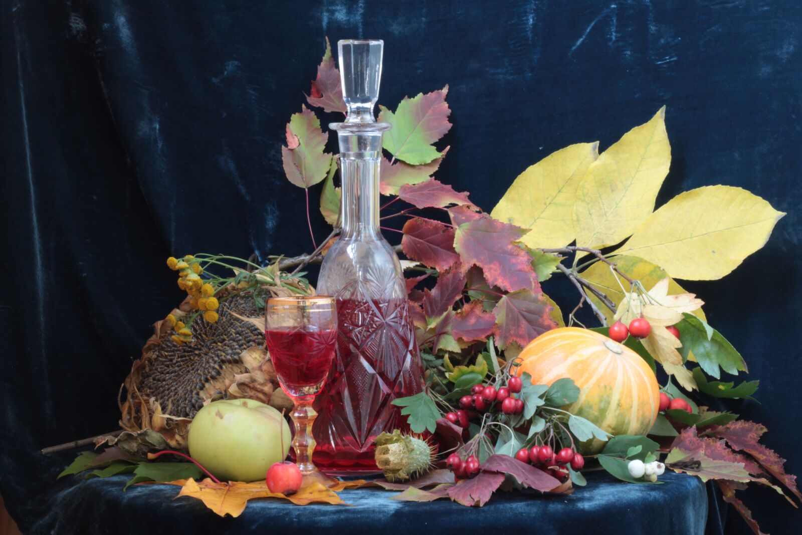 Canon EOS 500D (EOS Rebel T1i / EOS Kiss X3) sample photo. Autumn, still life, apples photography