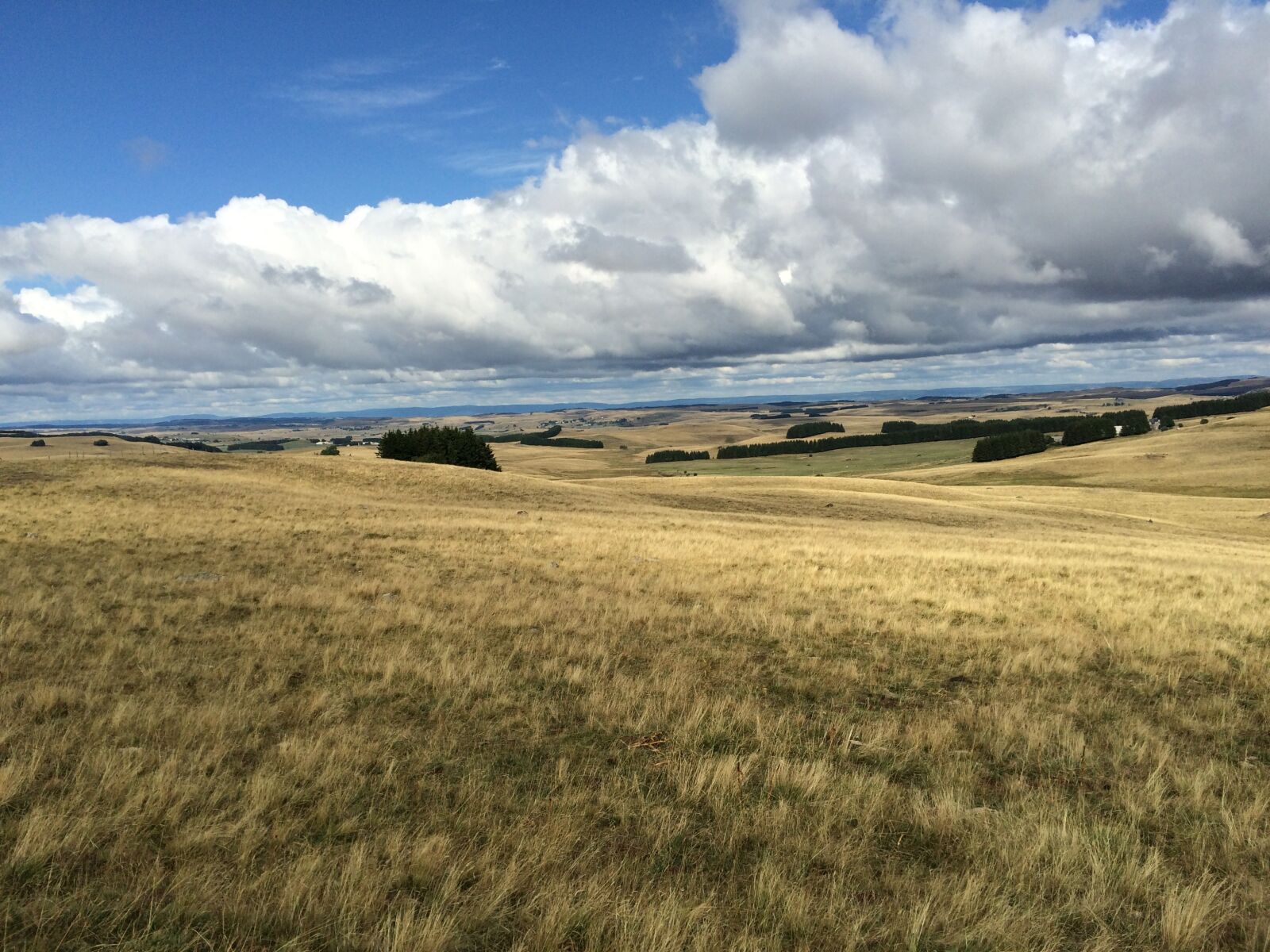 Apple iPhone 5s sample photo. Landscape, fields, aubrac photography