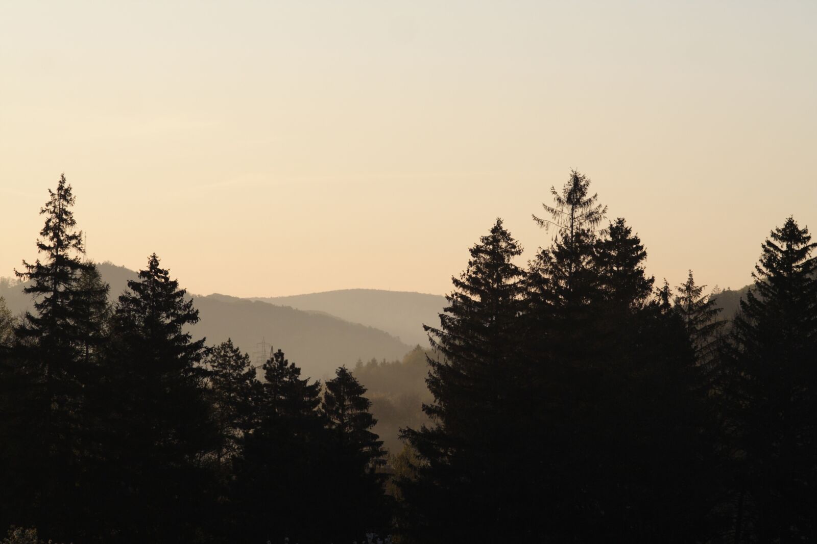 Canon EOS 350D (EOS Digital Rebel XT / EOS Kiss Digital N) sample photo. Forest, landscape, mood photography