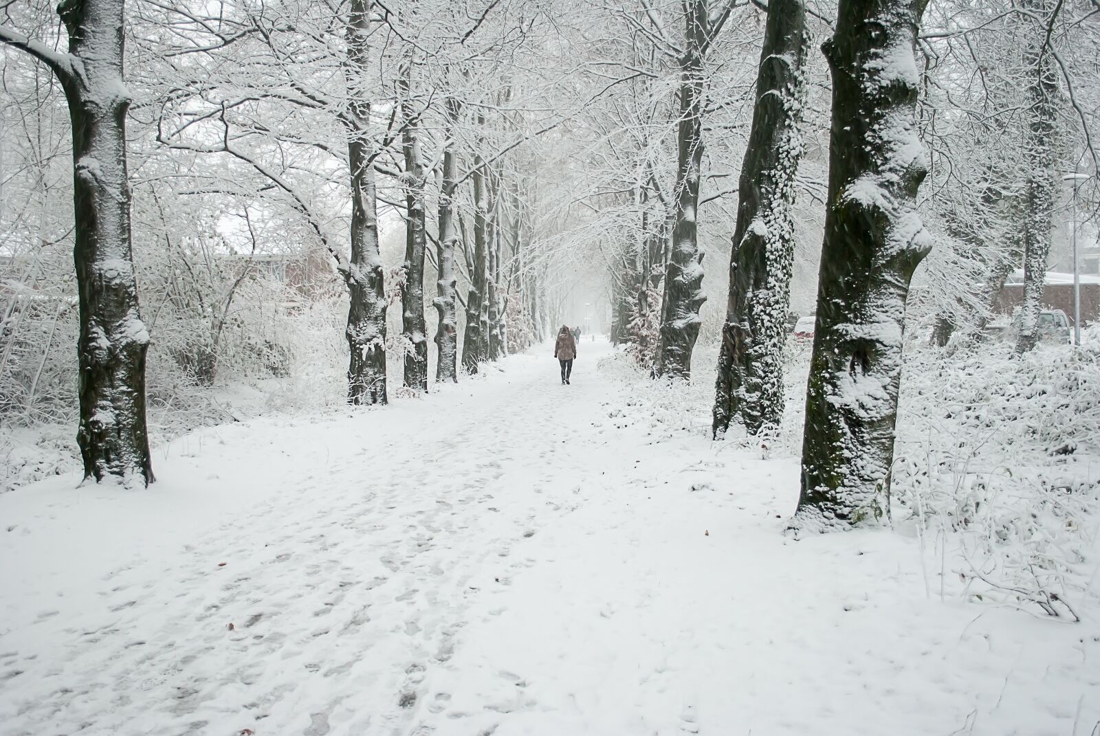 Nikon D3000 sample photo. Winter, landscape, snow photography