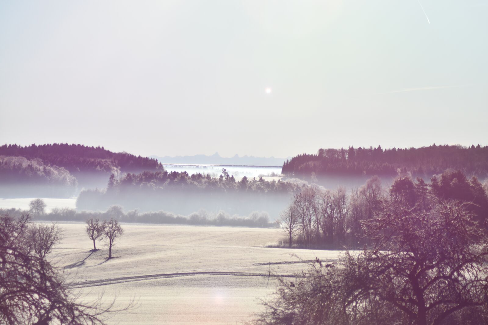 Nikon D3400 sample photo. Nature, fog, fo photography