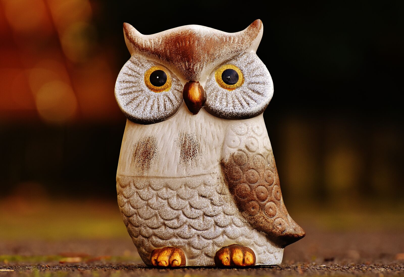 Nikon D7200 sample photo. Owl, bird, funny photography
