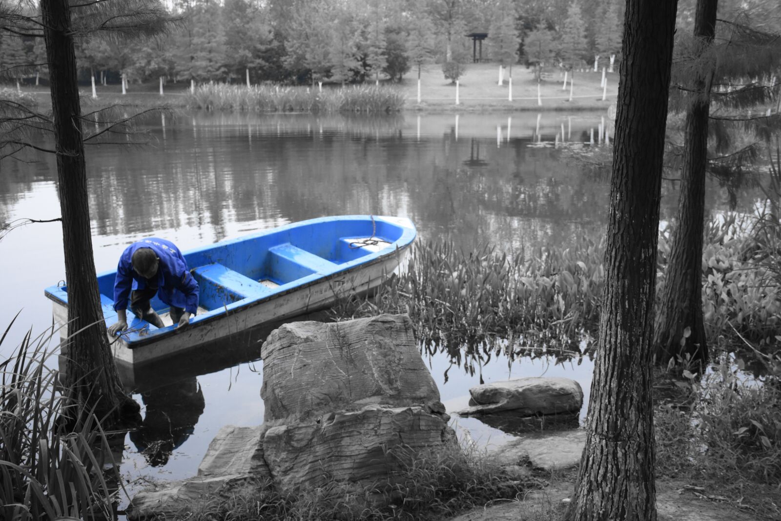 Nikon D7200 sample photo. Hefei, city, park photography
