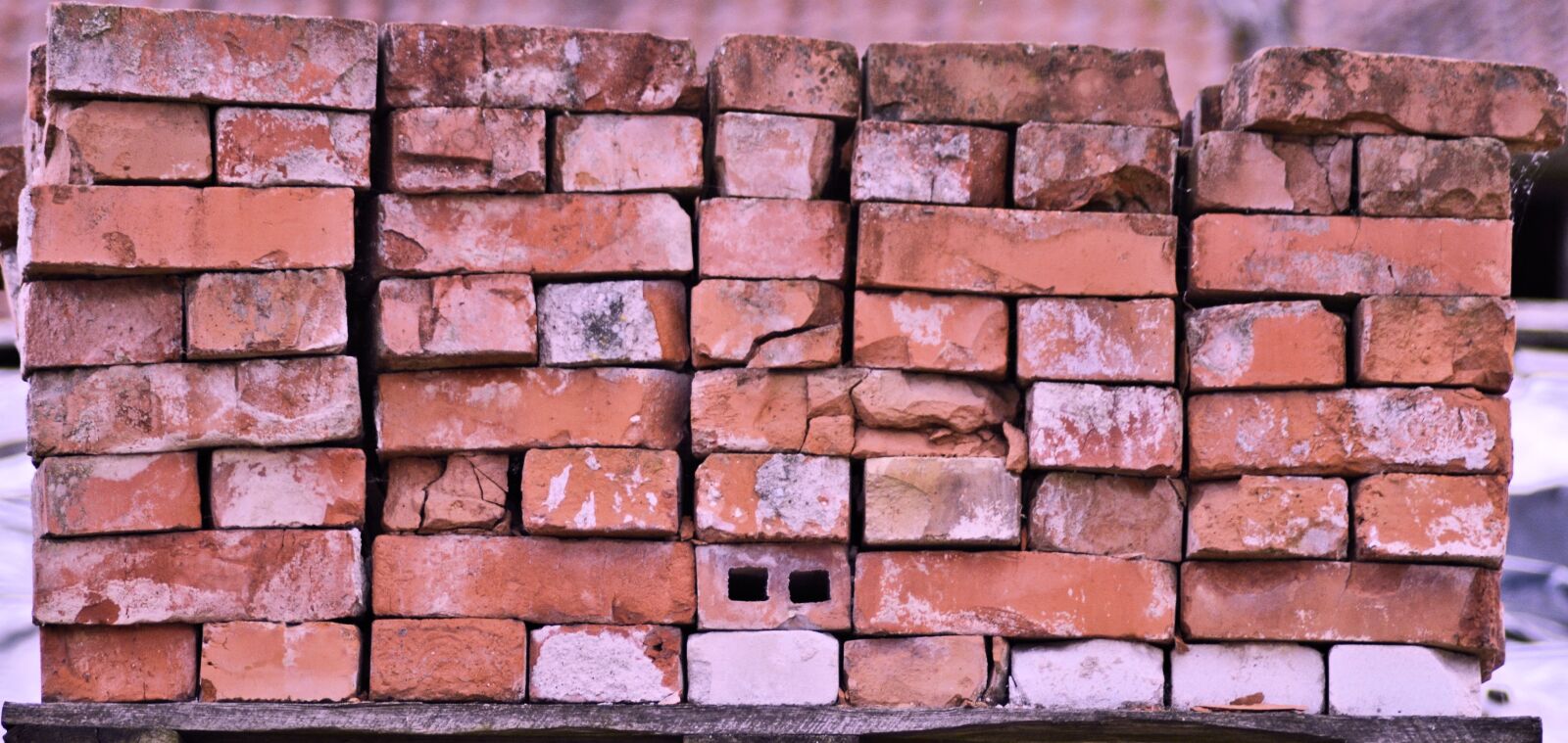 Nikon D7100 sample photo. Brick, lake dusia, wall photography