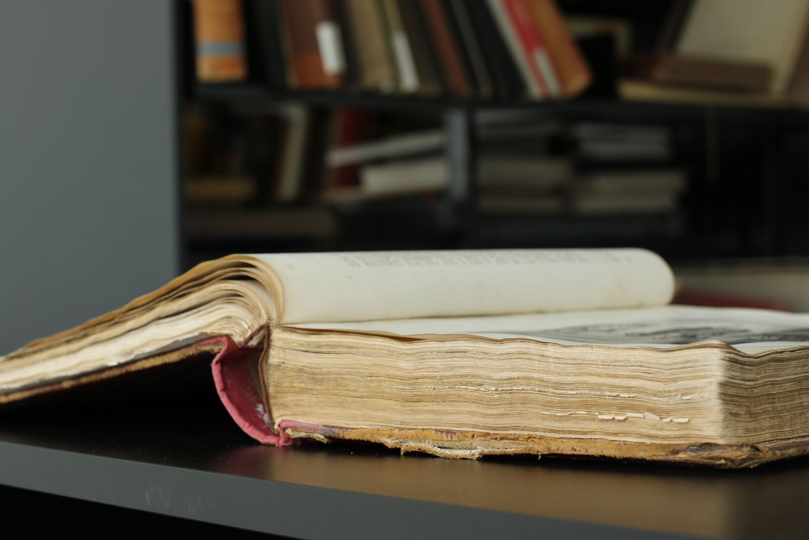 Canon EOS 7D Mark II sample photo. Book, old, library photography