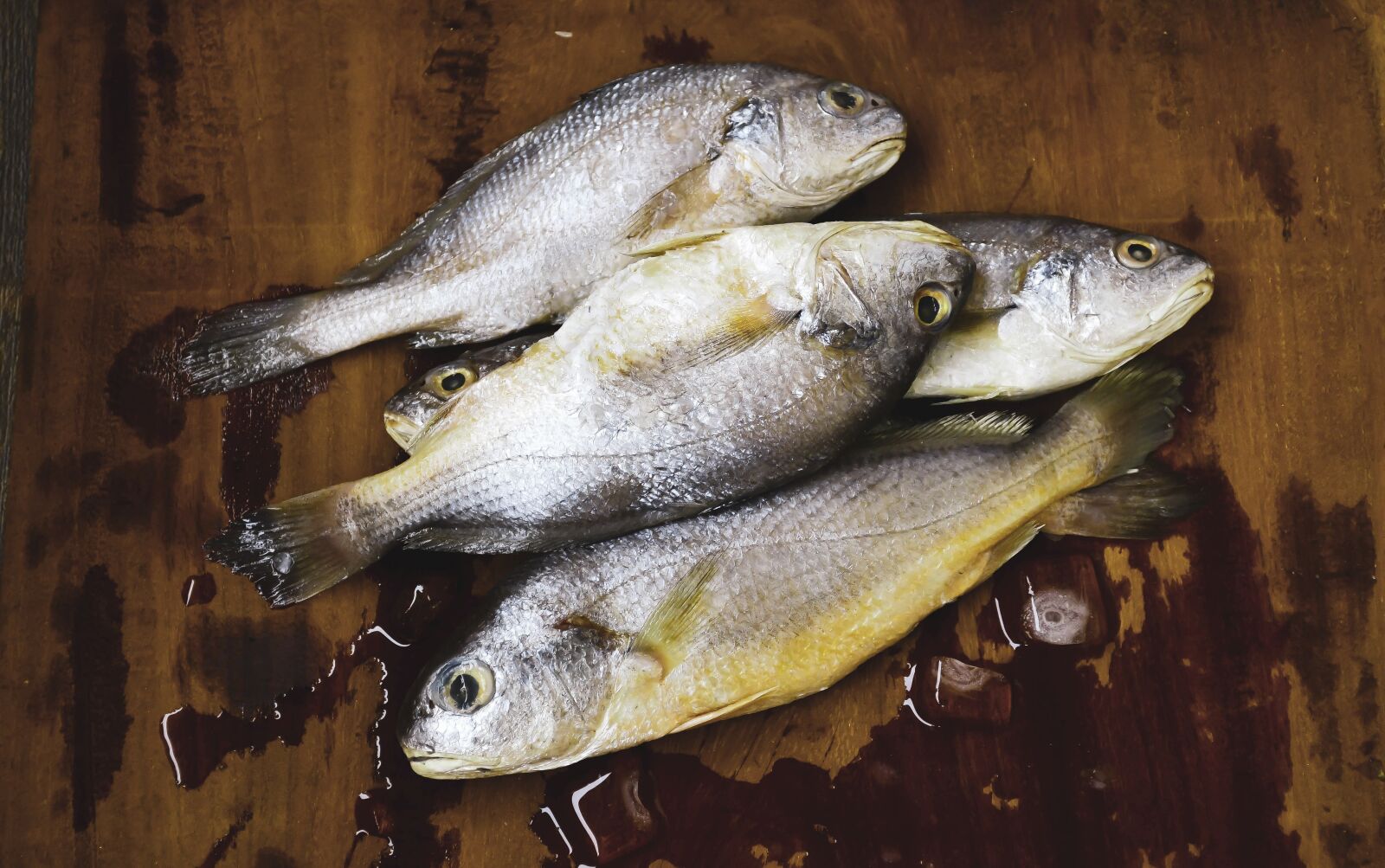 Nikon D7500 sample photo. Fish, raw fish, wet photography