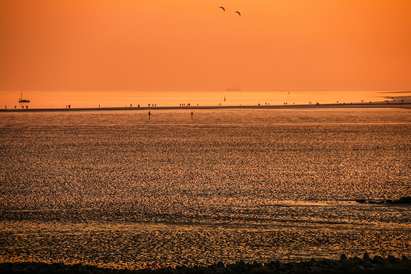Canon EOS 550D (EOS Rebel T2i / EOS Kiss X4) sample photo. Mudflat hiking, watts, beach photography