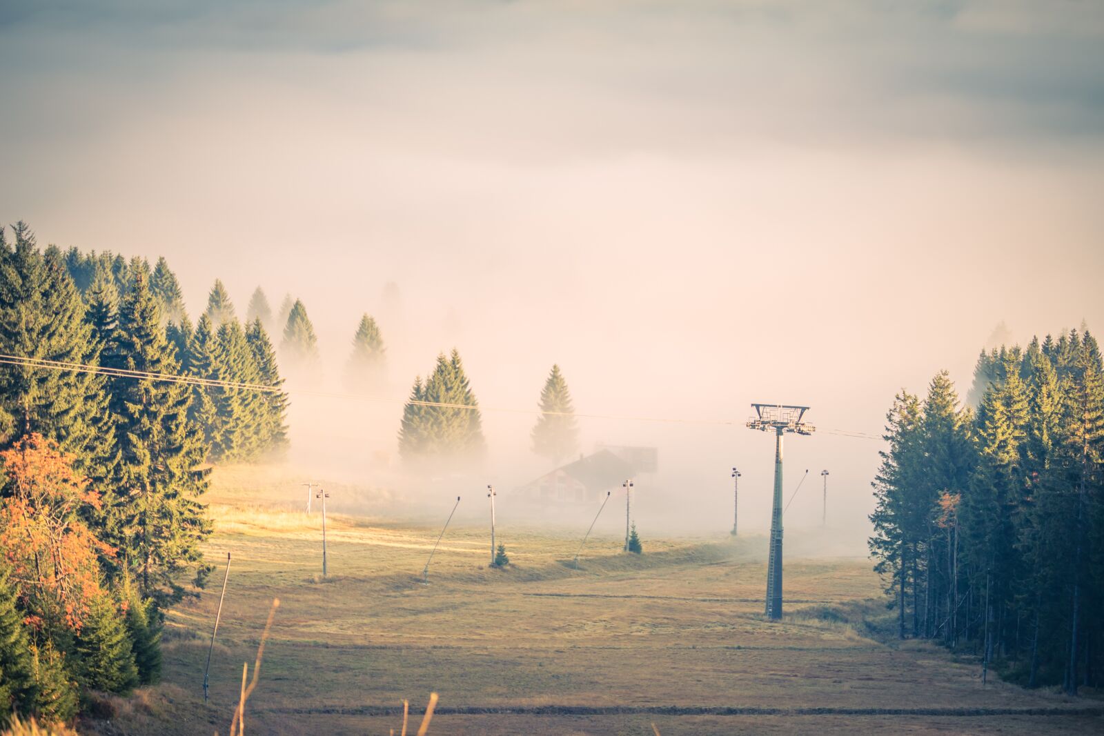 Canon EOS 100D (EOS Rebel SL1 / EOS Kiss X7) sample photo. Fog, clouds, trees photography