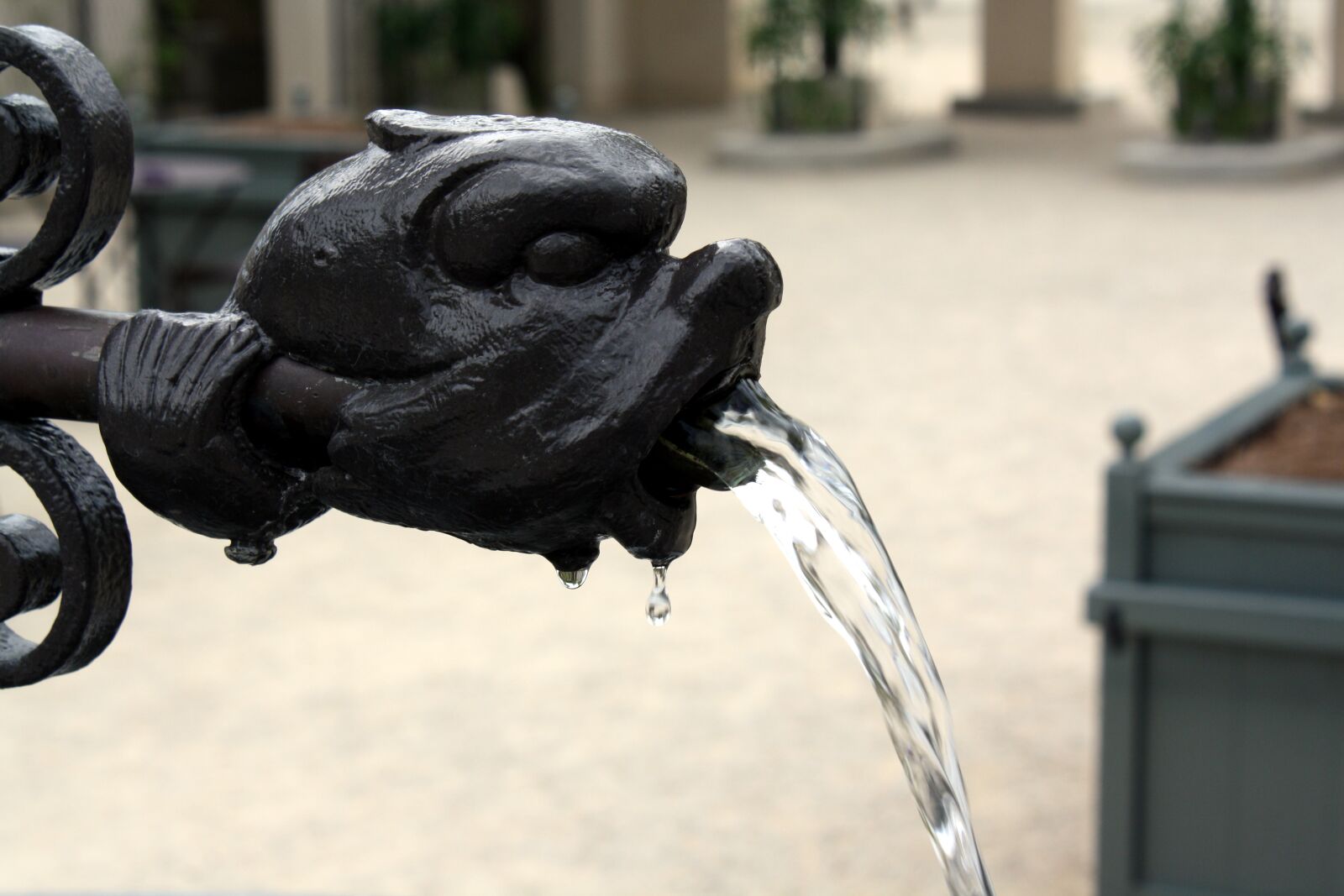 Canon EOS 1000D (EOS Digital Rebel XS / EOS Kiss F) sample photo. Water, statue, park photography