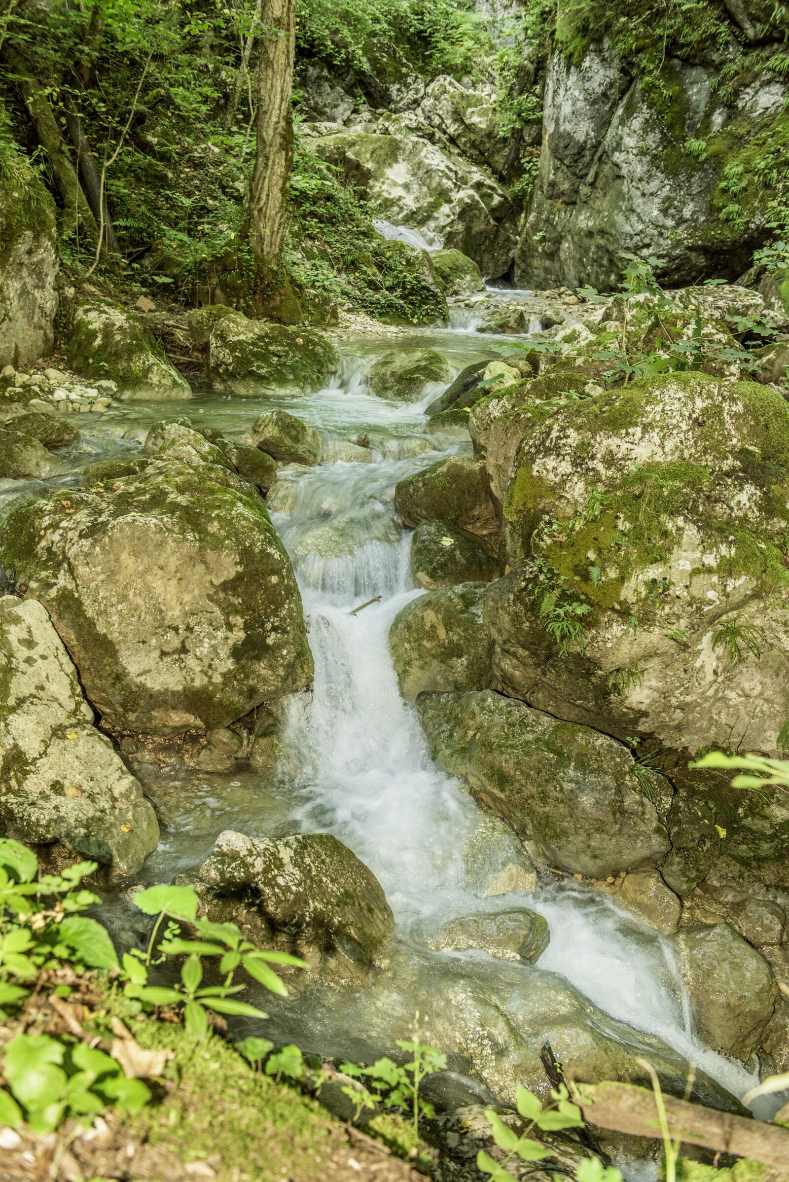 Nikon D750 sample photo. Waterfall bear protective gorge photography
