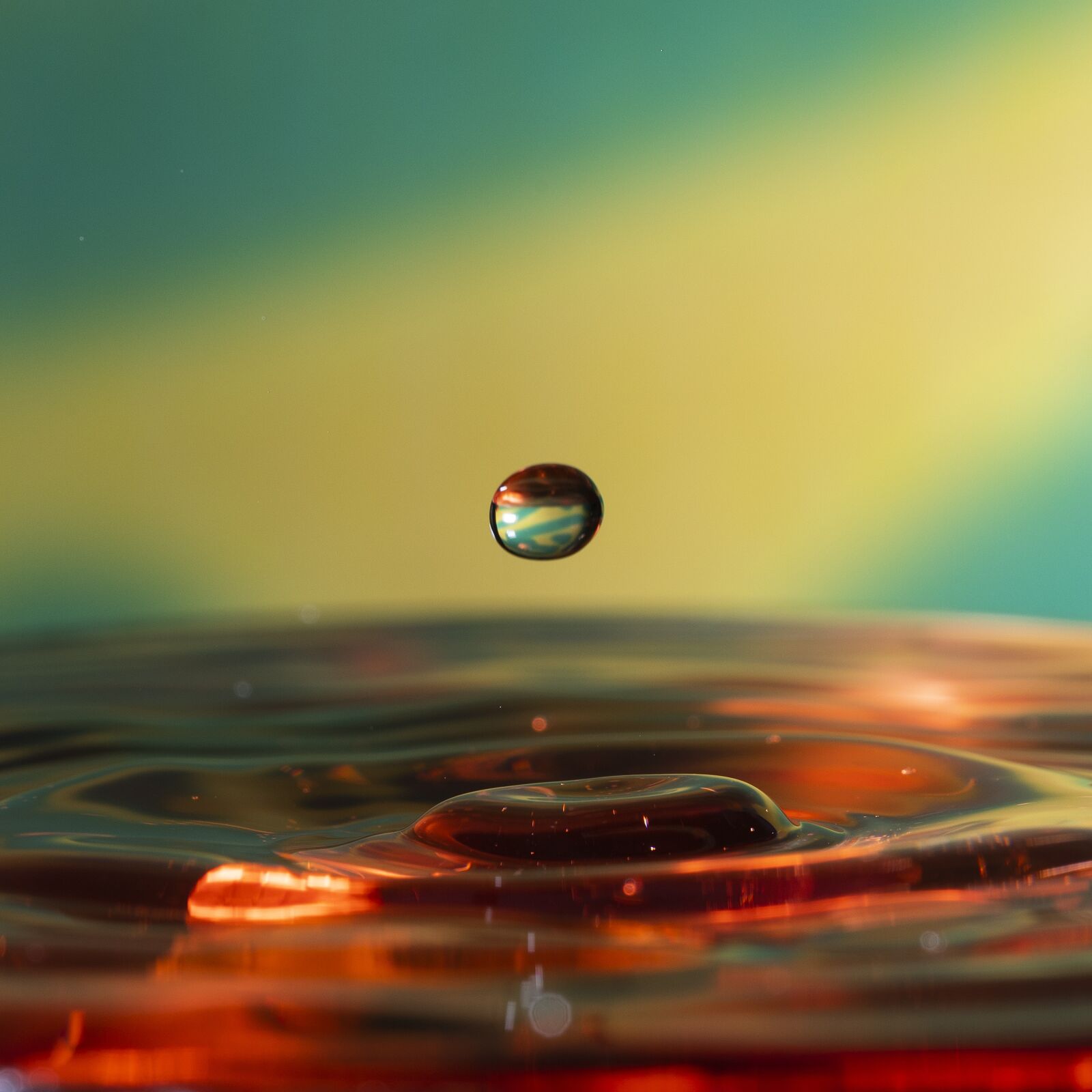 Canon EOS 5D Mark IV sample photo. Bubble, drop, water photography