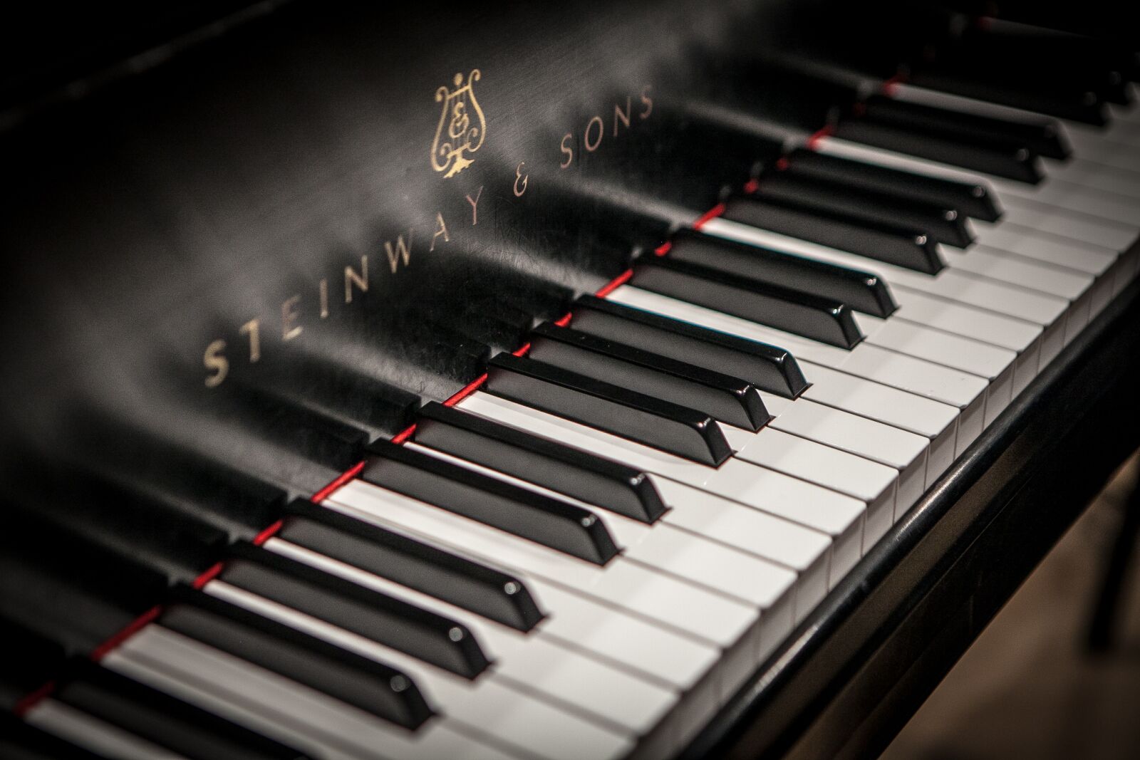 Canon EOS 5D Mark II sample photo. Piano, steinway, keyboard photography