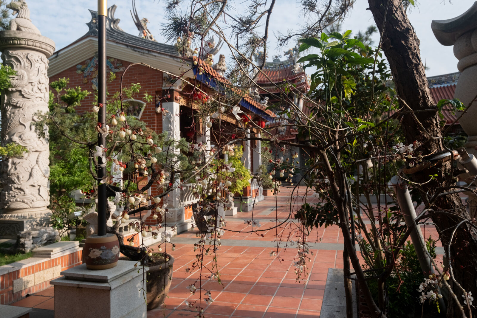 Fujifilm XF 18mm F1.4 R LM WR sample photo