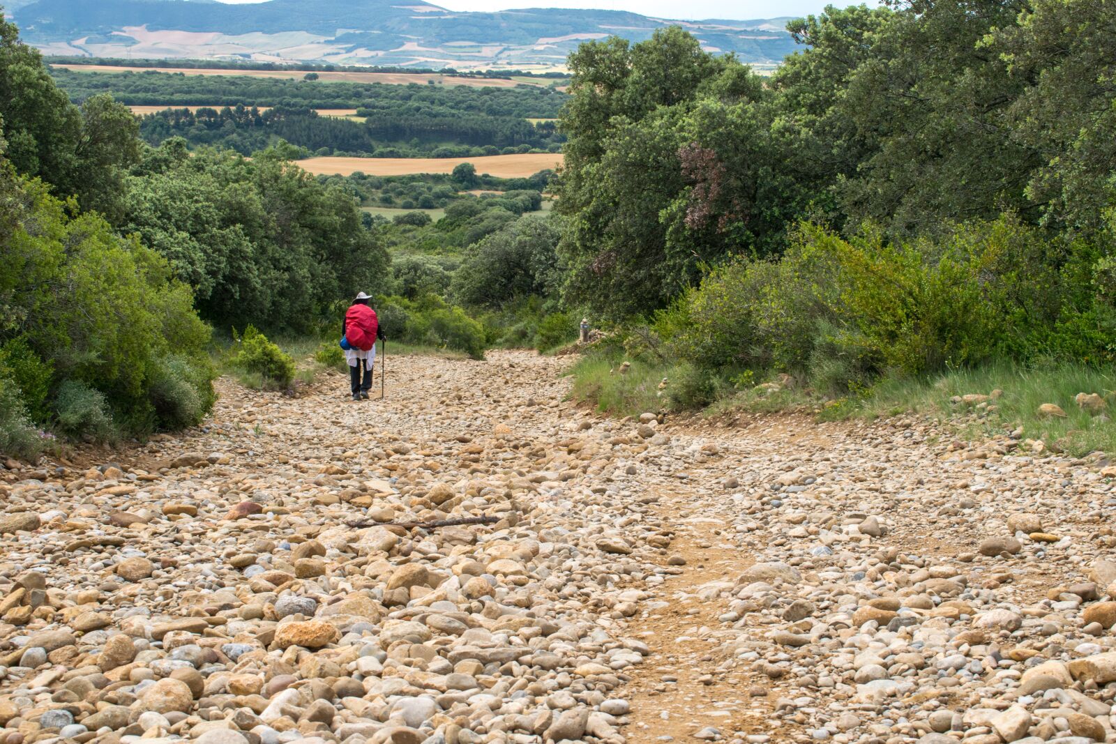 Nikon D3300 sample photo. Spain, santiago path, road photography