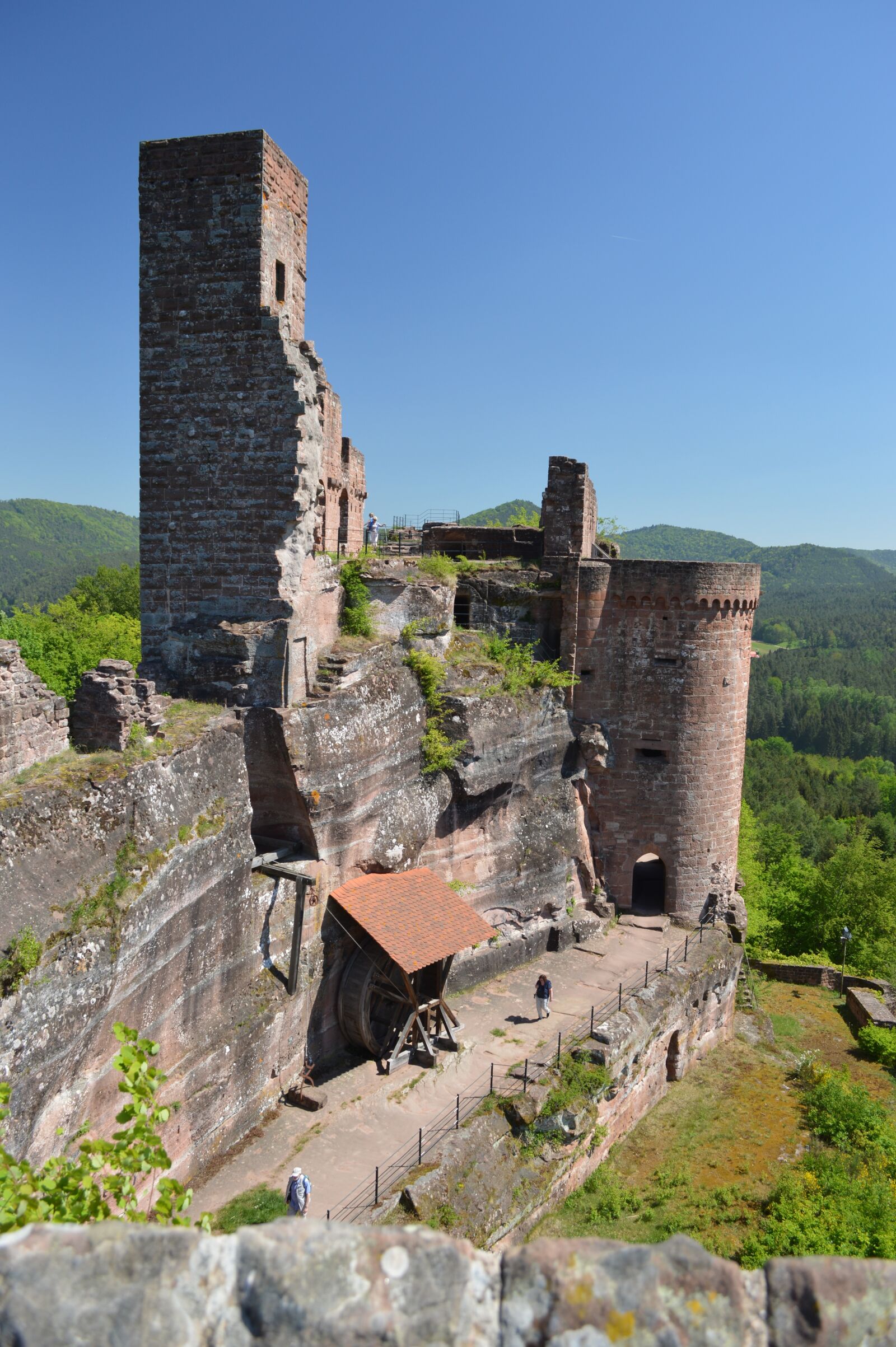 Nikon D3200 sample photo. Castle, keep of alt-dahn photography