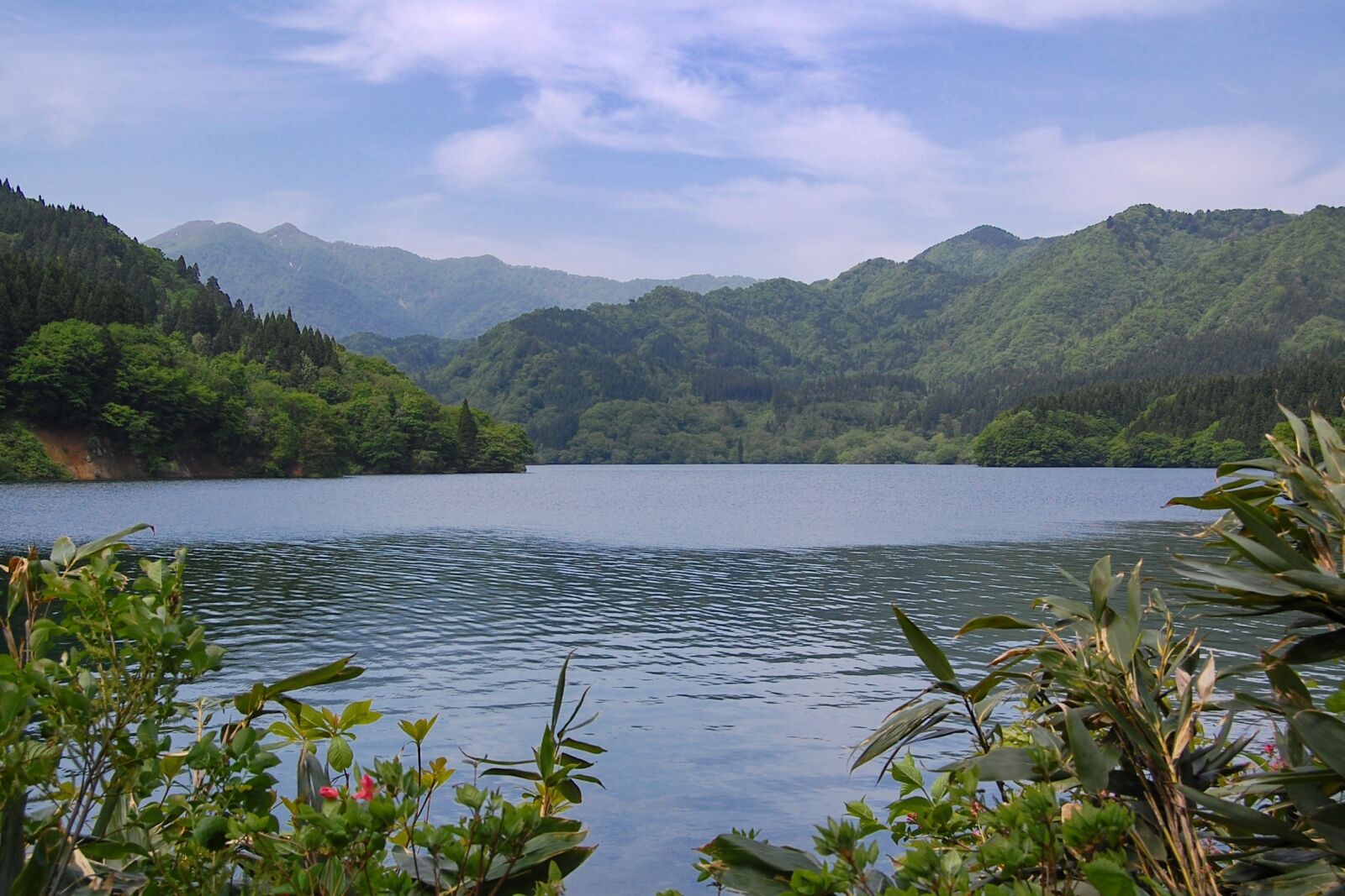 Nikon D40 sample photo. Japan, natural, landscape photography
