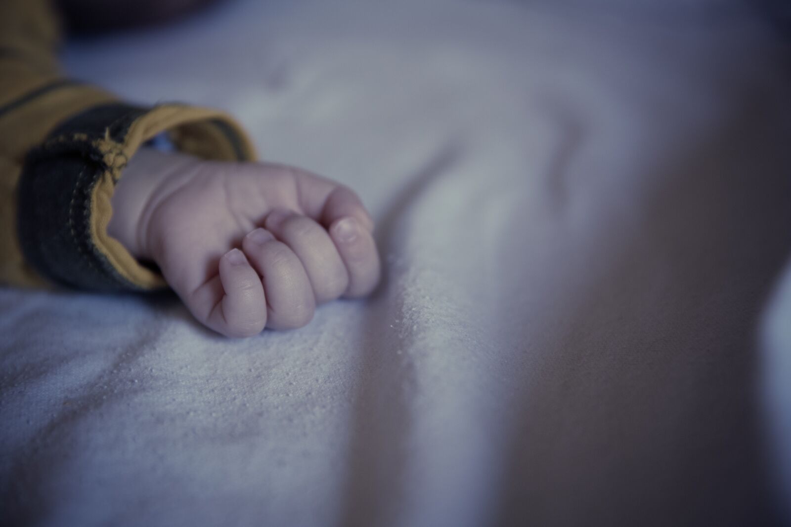 Canon EF 24-70mm F2.8L II USM sample photo. Small child, baby, hand photography