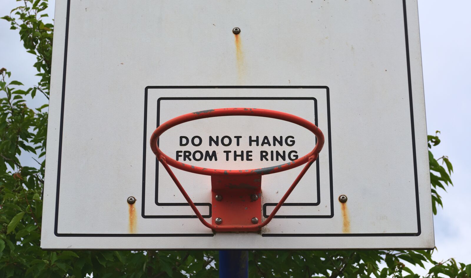 Nikon D3100 sample photo. Hoop, basketball, sport photography