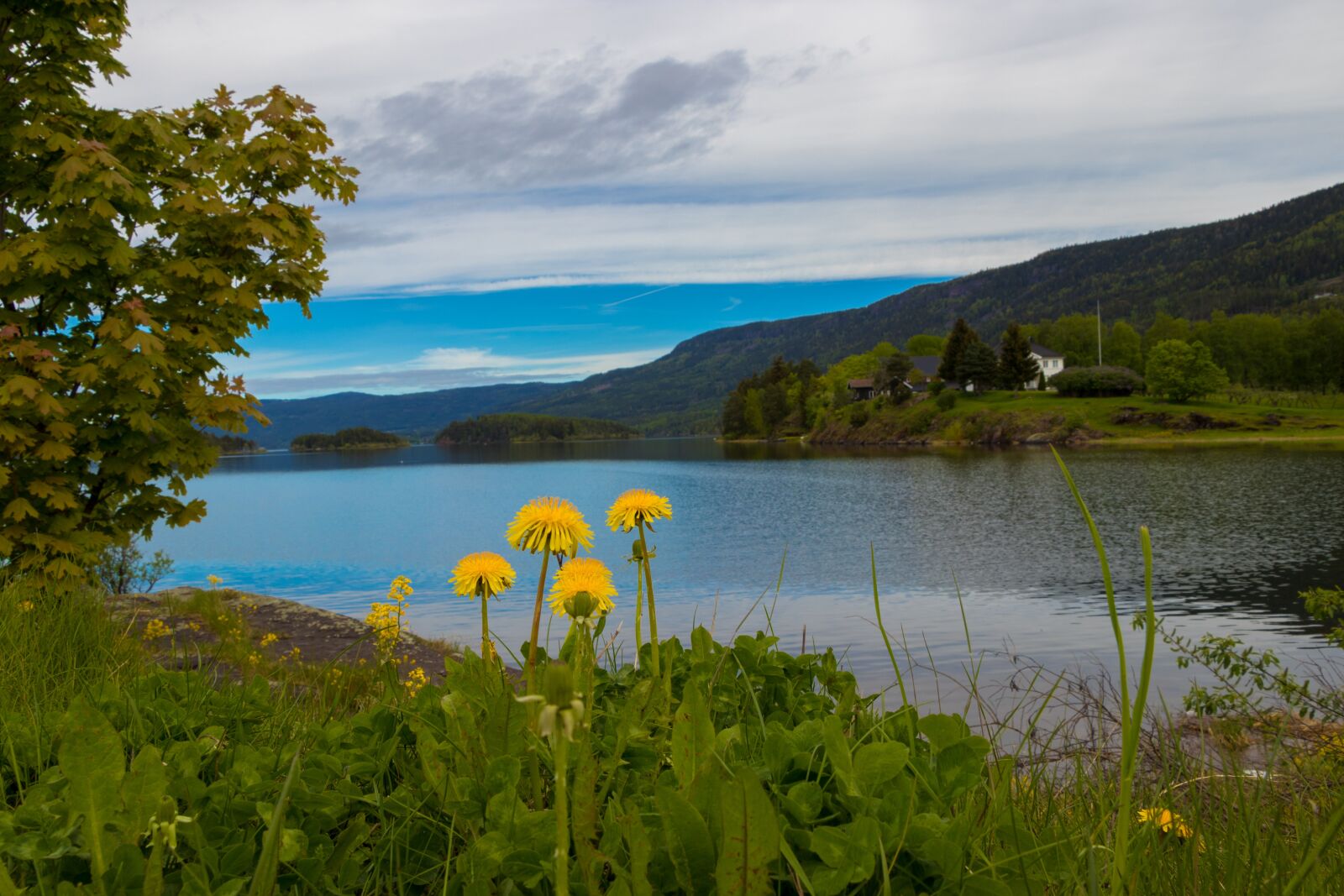 Canon EOS 80D sample photo. Norway, view, landscape photography