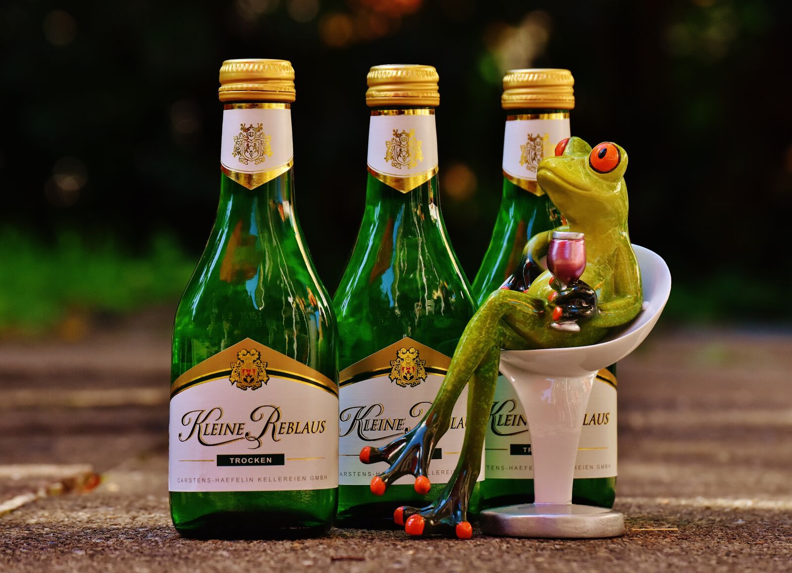 Nikon D7200 sample photo. Frog, wine, drink photography