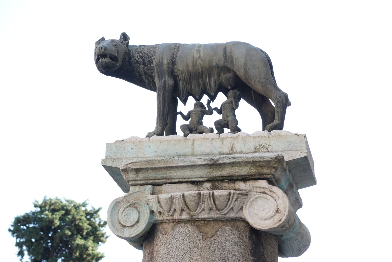 Sony ILCA-77M2 sample photo. Romulus and rafi, capitoline photography