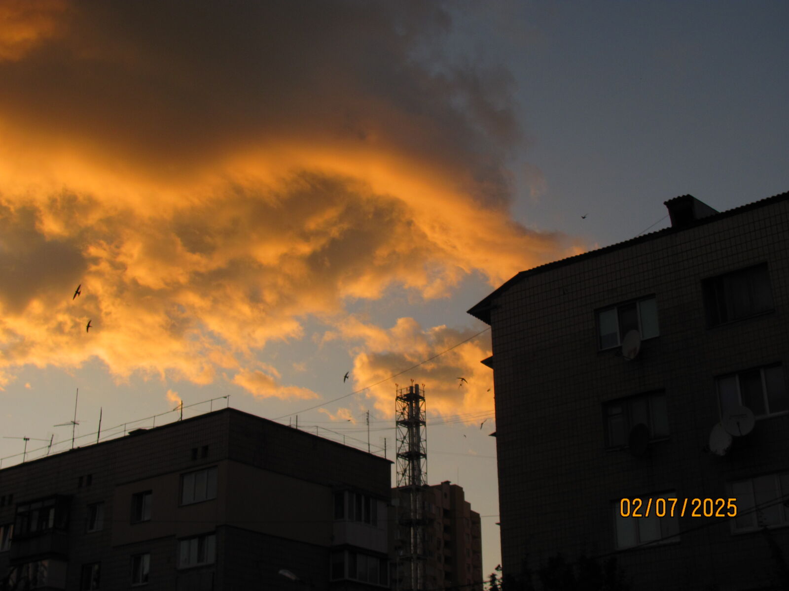 Canon PowerShot SX120 IS sample photo