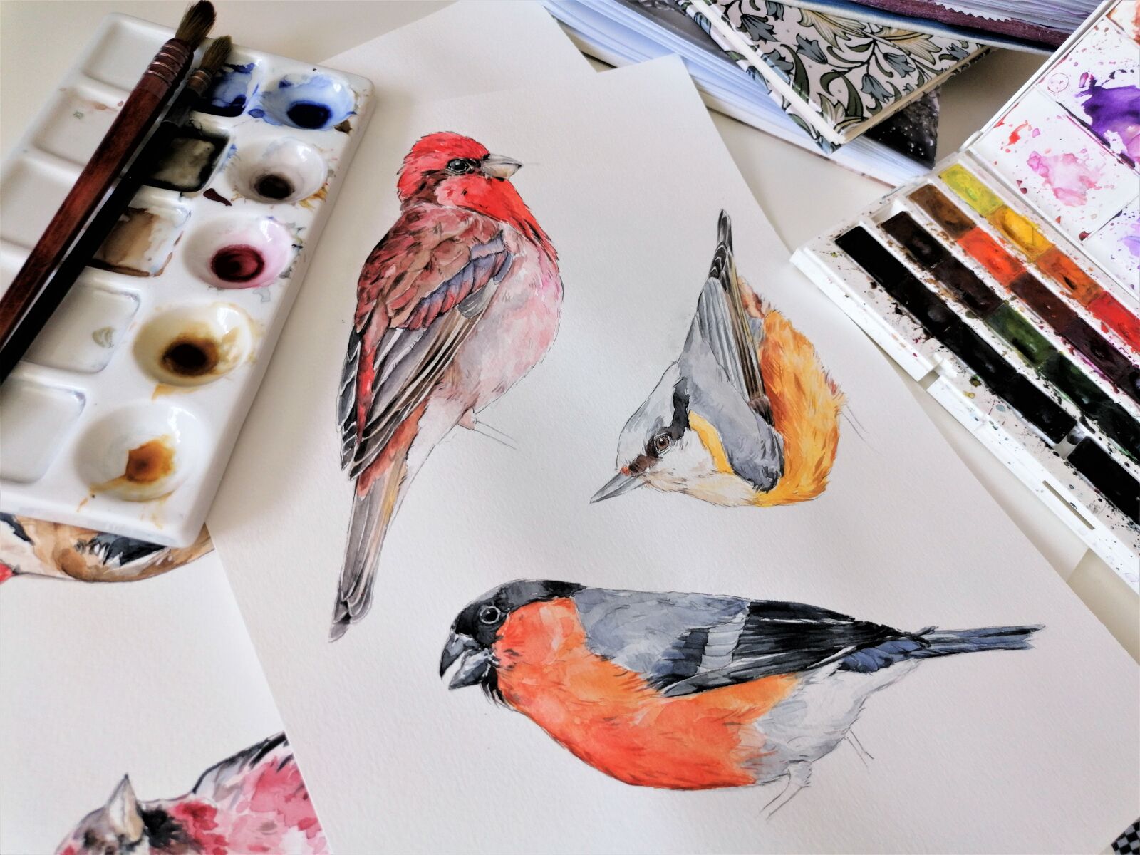 HUAWEI P30 LITE sample photo. Birds, drawing, watercolor photography