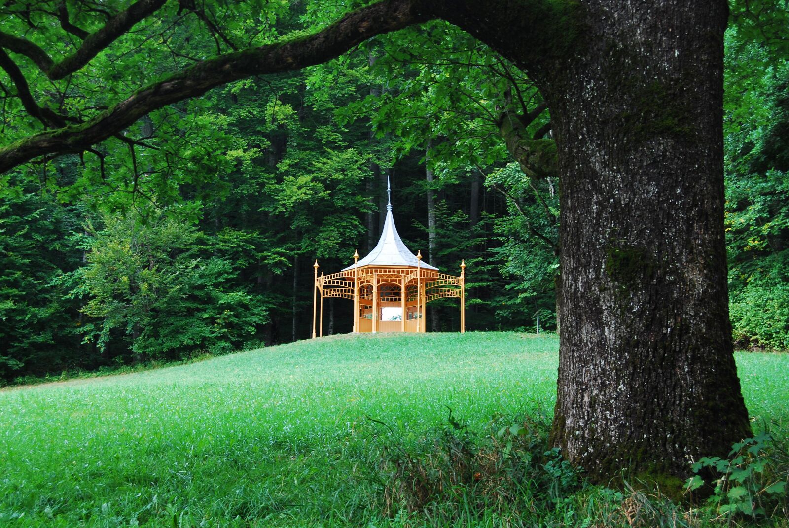 Nikon D80 sample photo. Bad ischl, salzkammergut, exhibition photography