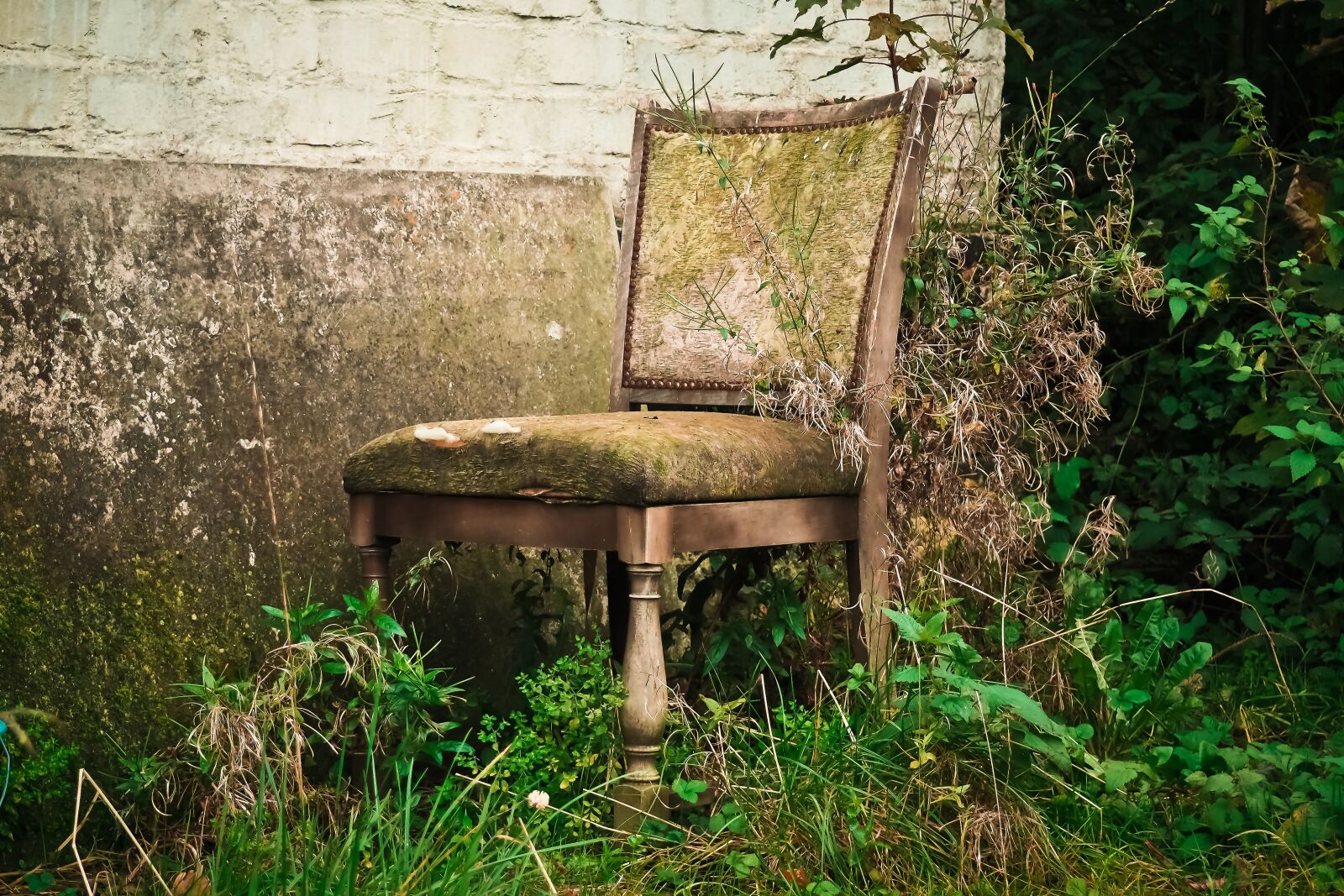 Olympus OM-D E-M10 sample photo. Lost places, building, old photography