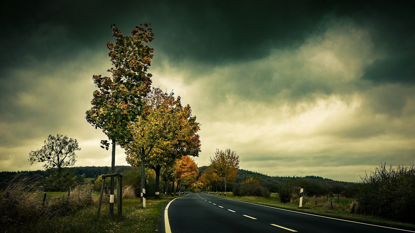 Canon EF 16-35mm F4L IS USM sample photo. Autumn, road, trees photography