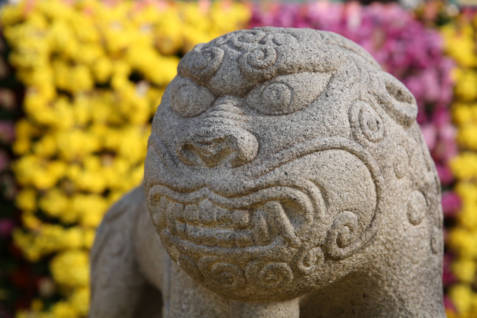 Canon EF 24-70mm F2.8L II USM sample photo. Lion, buddhism, sculpture photography