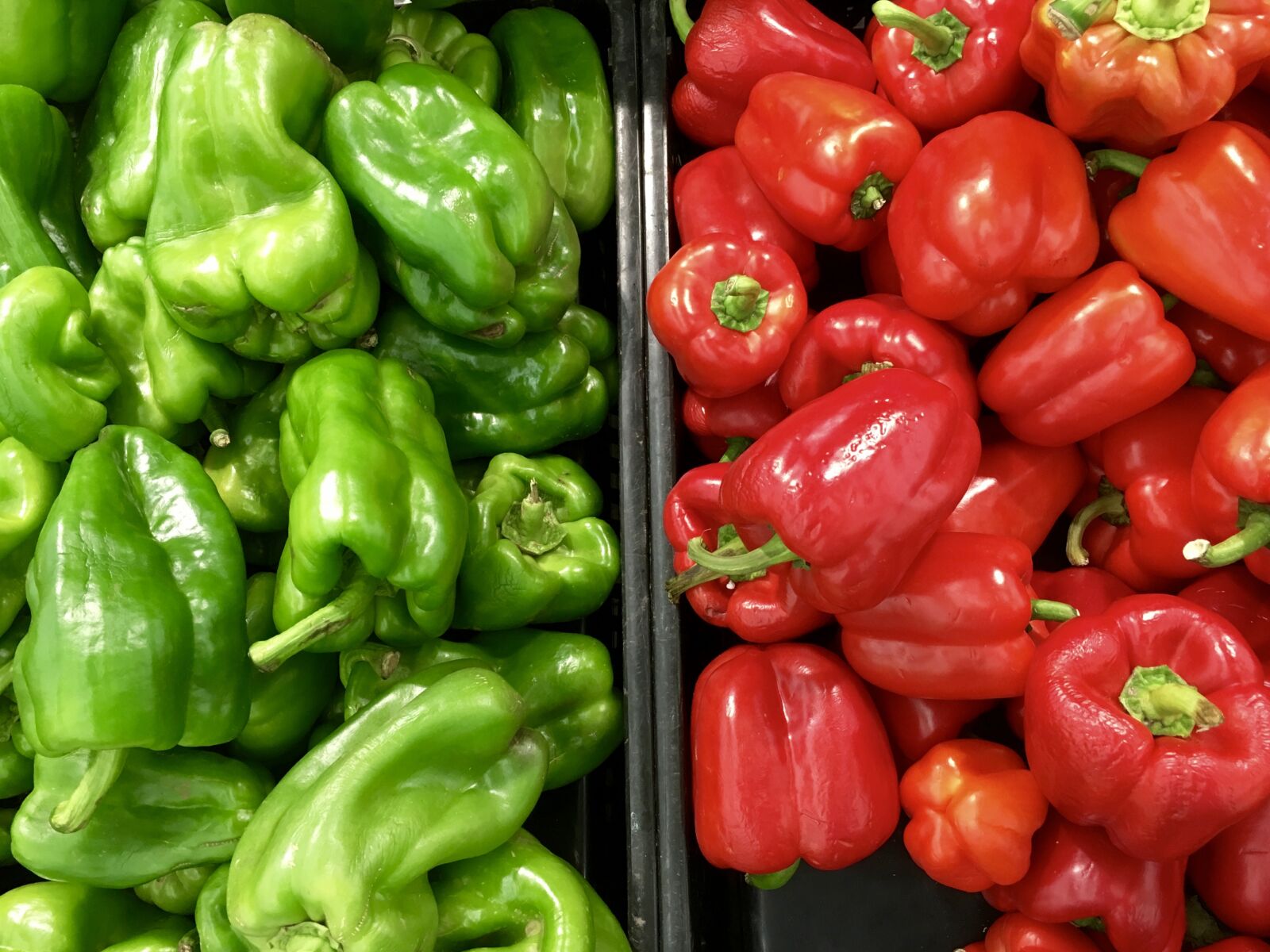 Apple iPhone 6s sample photo. Agriculture, bell pepper, capsicum photography