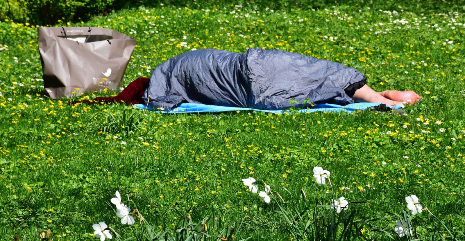 Nikon D7200 sample photo. Man, human, homeless photography