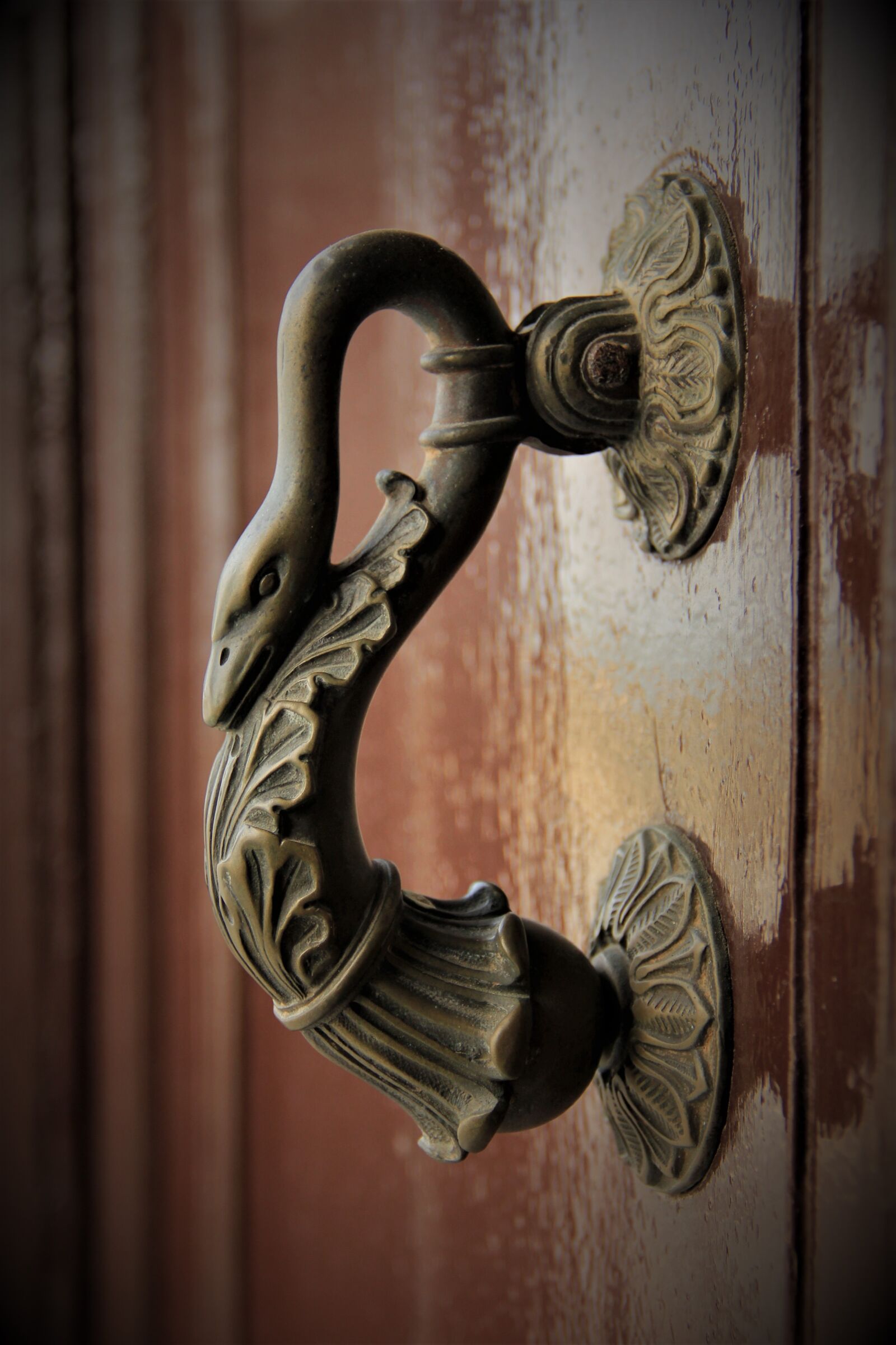 Canon EOS 550D (EOS Rebel T2i / EOS Kiss X4) sample photo. Old door, old, input photography