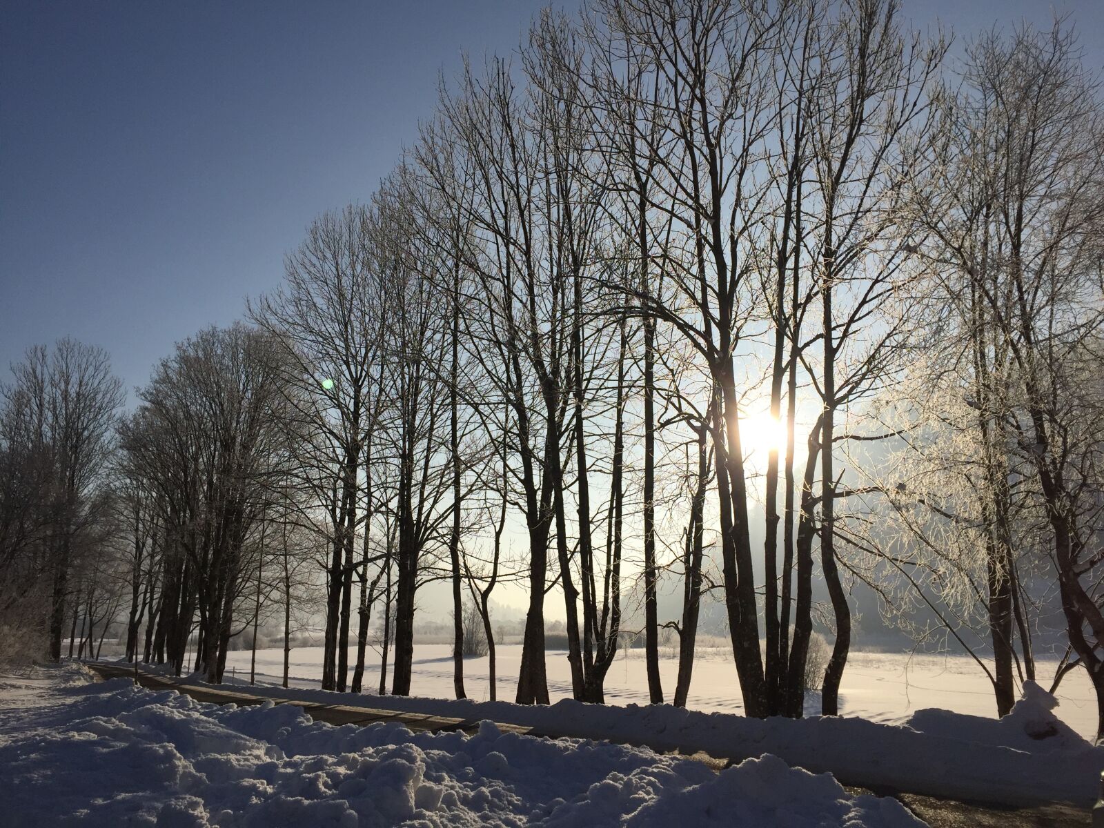 Apple iPhone 6 sample photo. Winter, snow, wintry photography