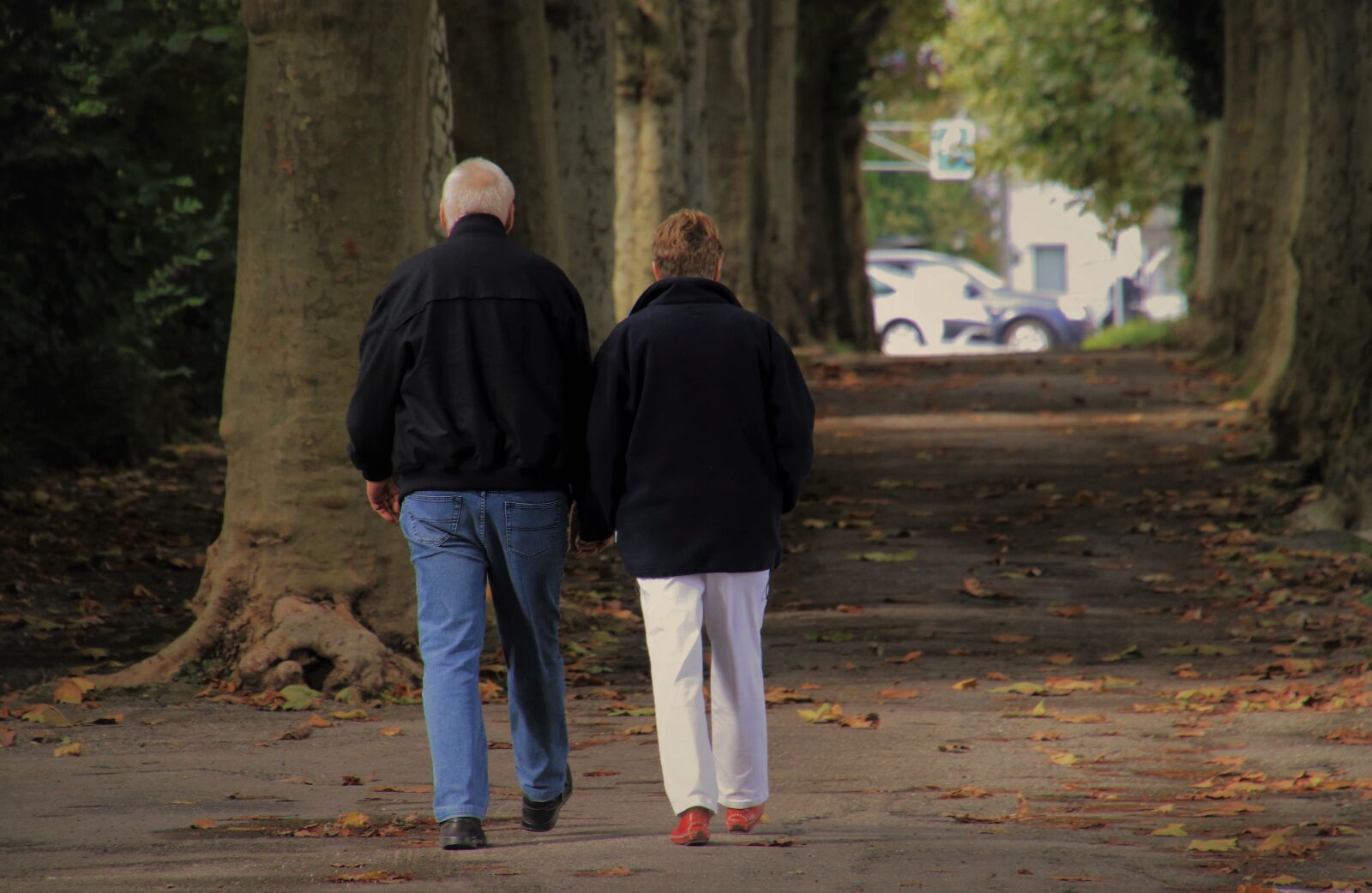 Canon EOS 80D sample photo. Senior, para, autumn walk photography