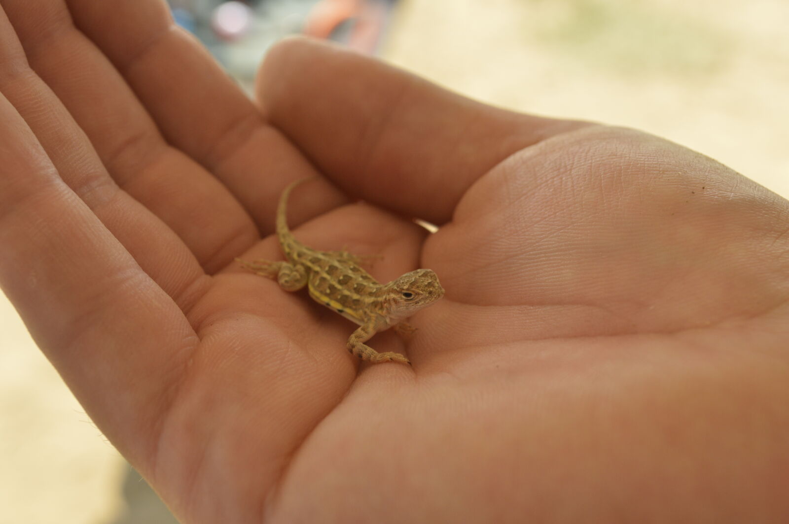Nikon D3200 sample photo